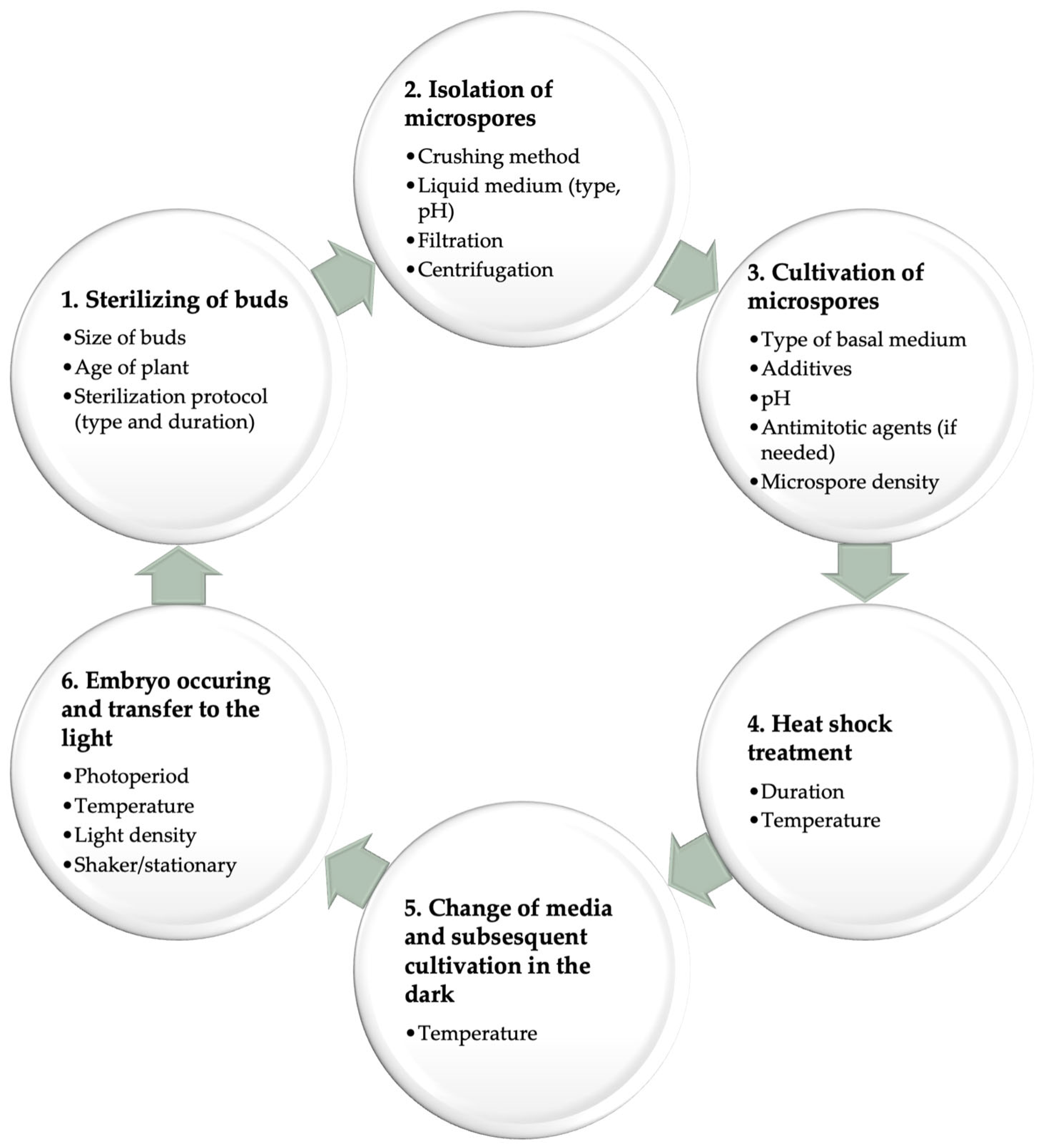 Agronomy 15 00179 g002