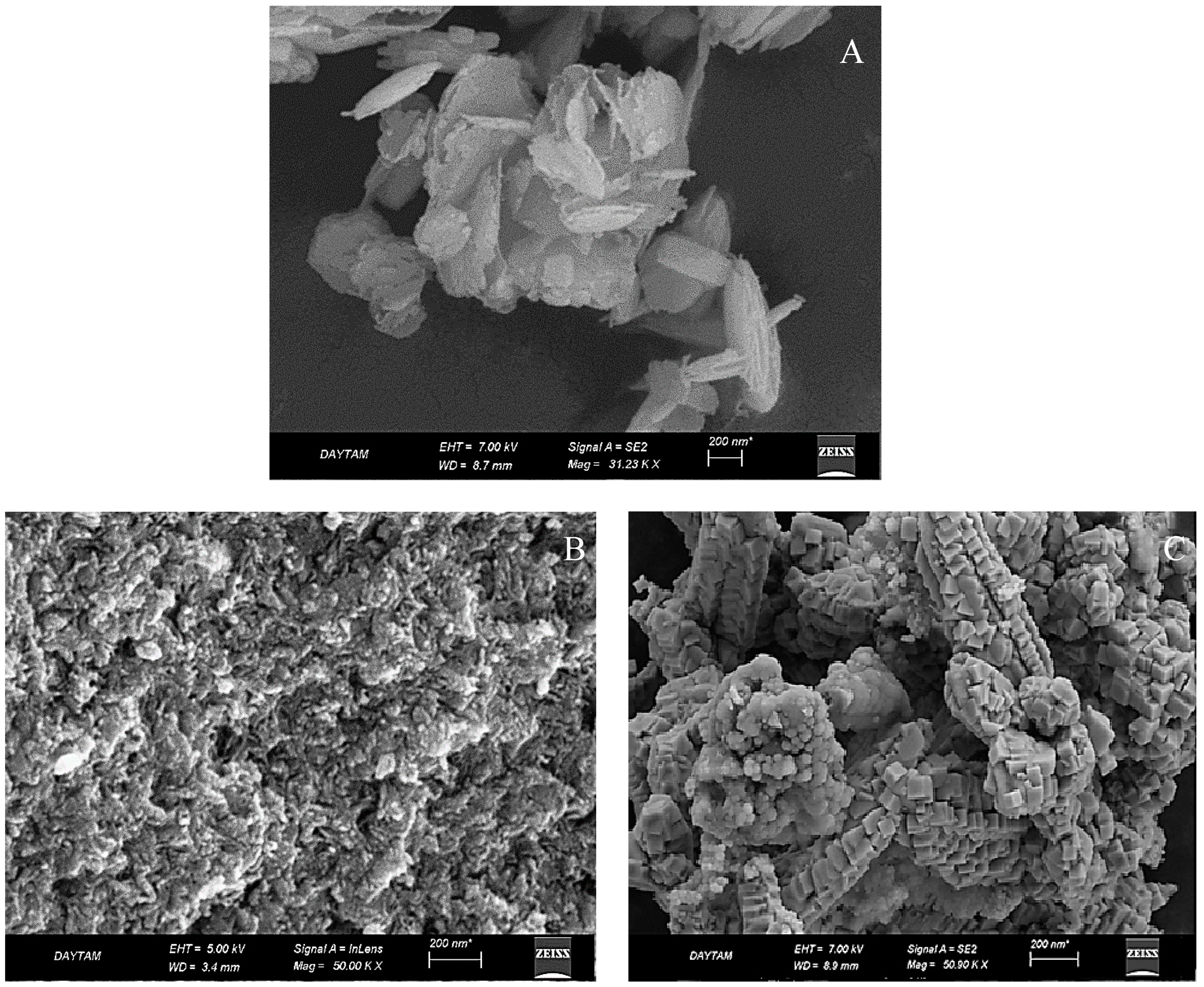 Agronomy 15 00180 g002