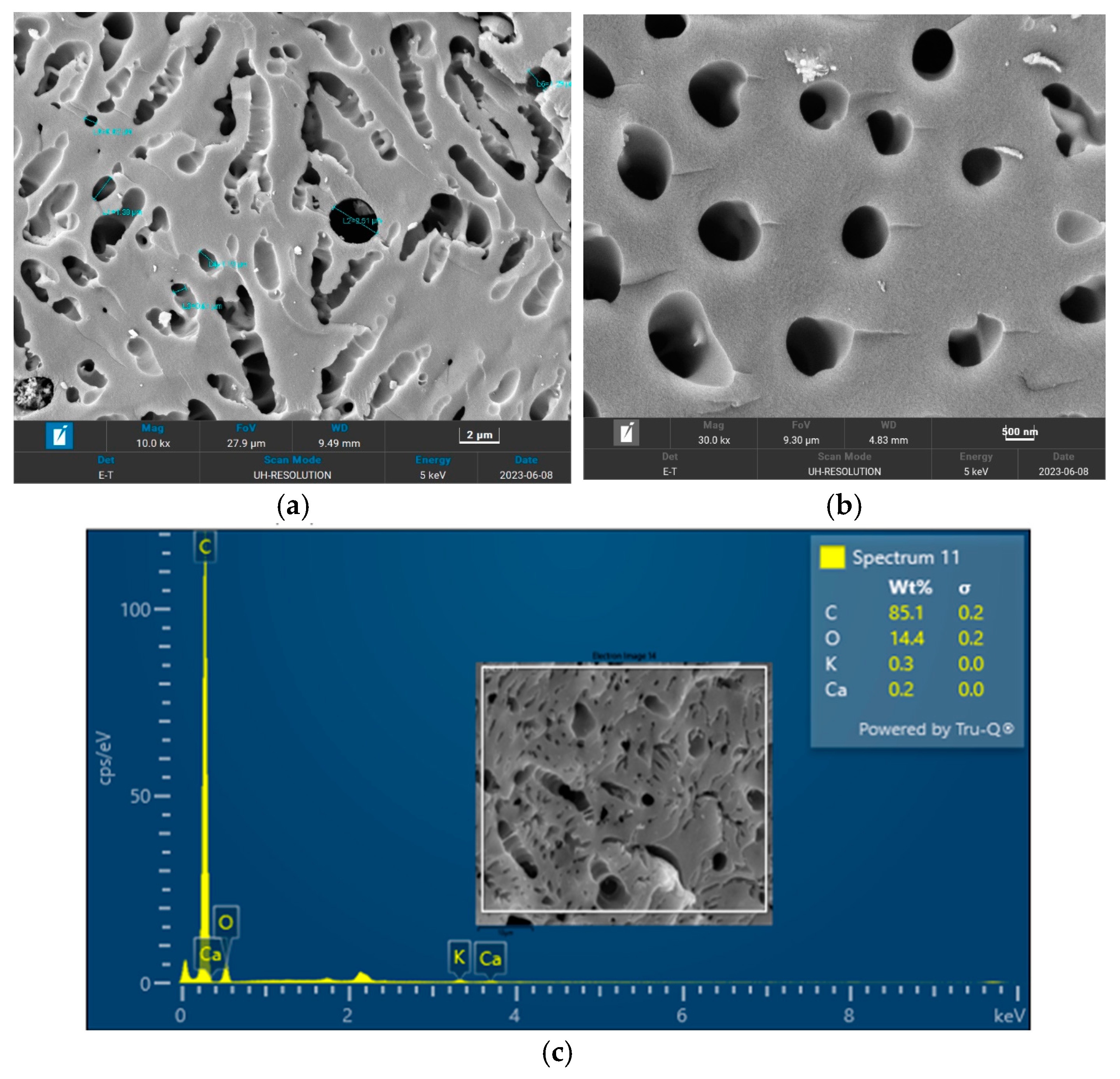 Agronomy 15 00181 g005