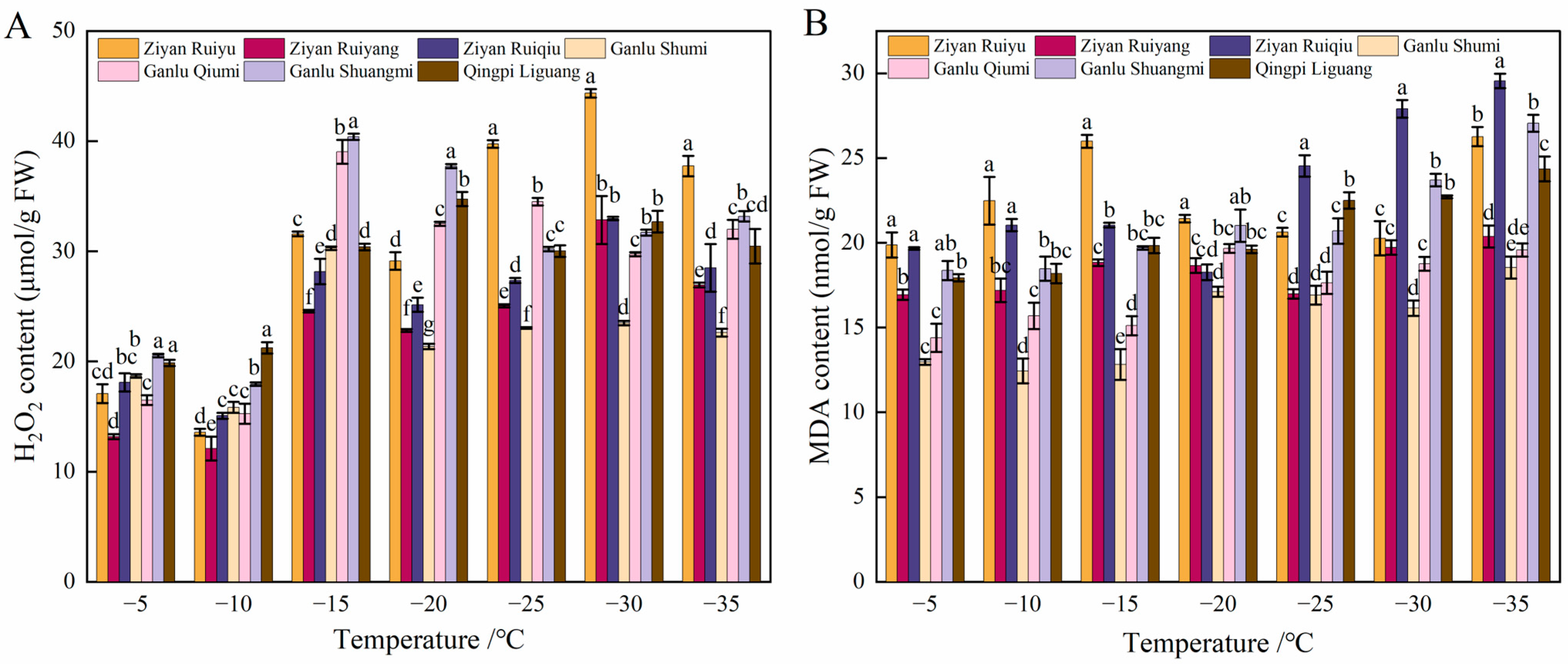Agronomy 15 00182 g003