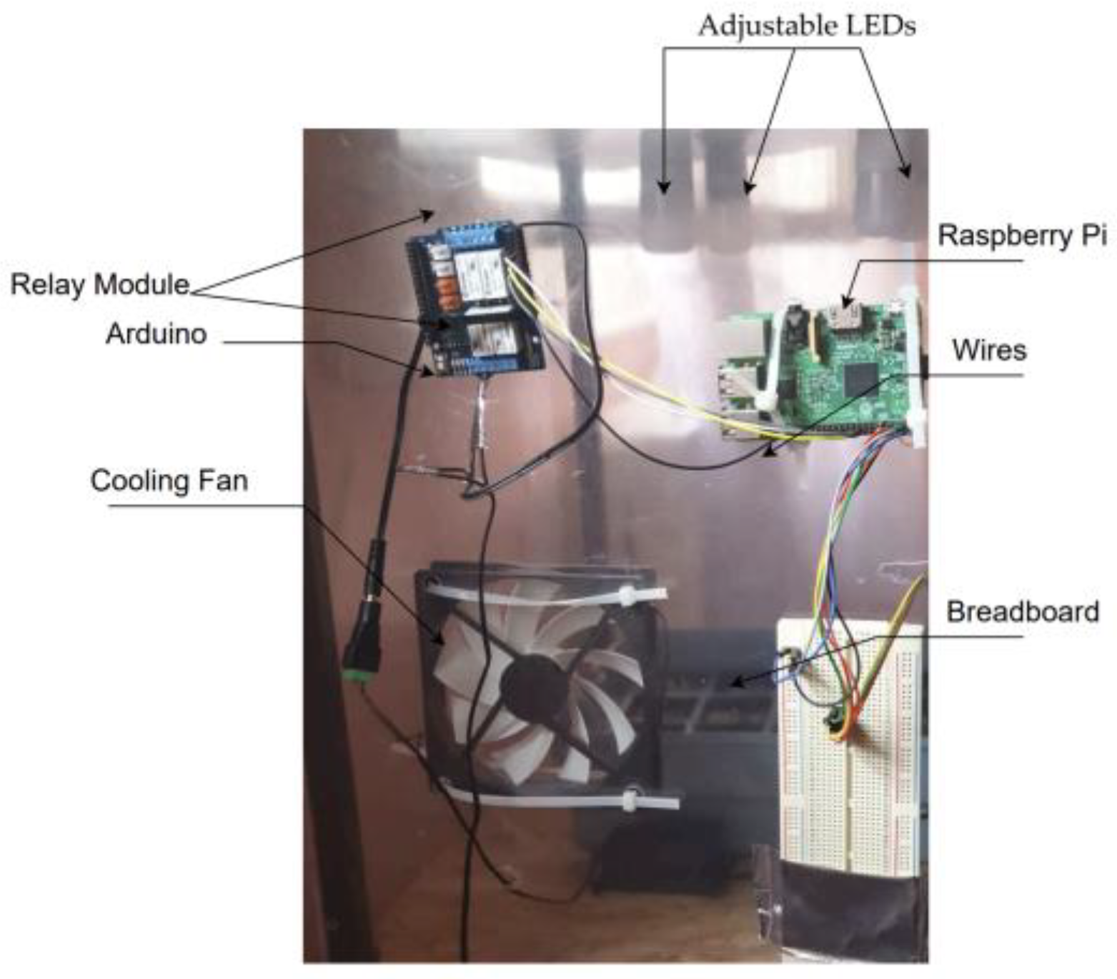 Agronomy 15 00189 g001