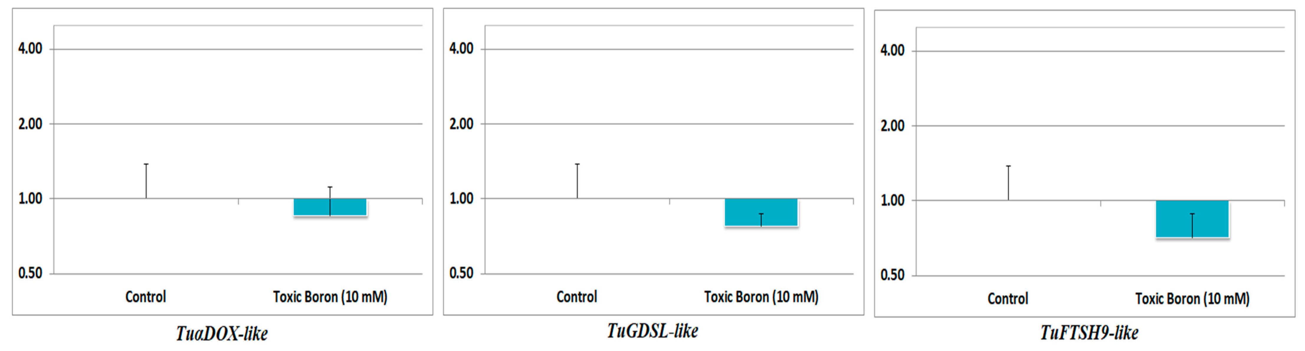 Agronomy 15 00191 g005
