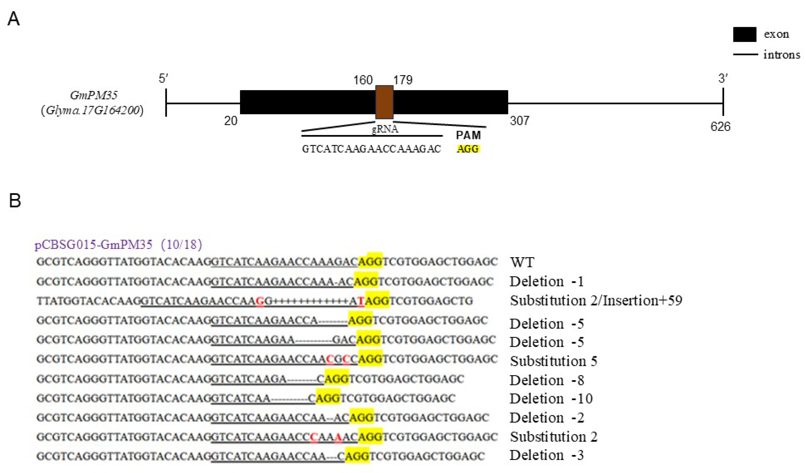 Agronomy 15 00192 g009