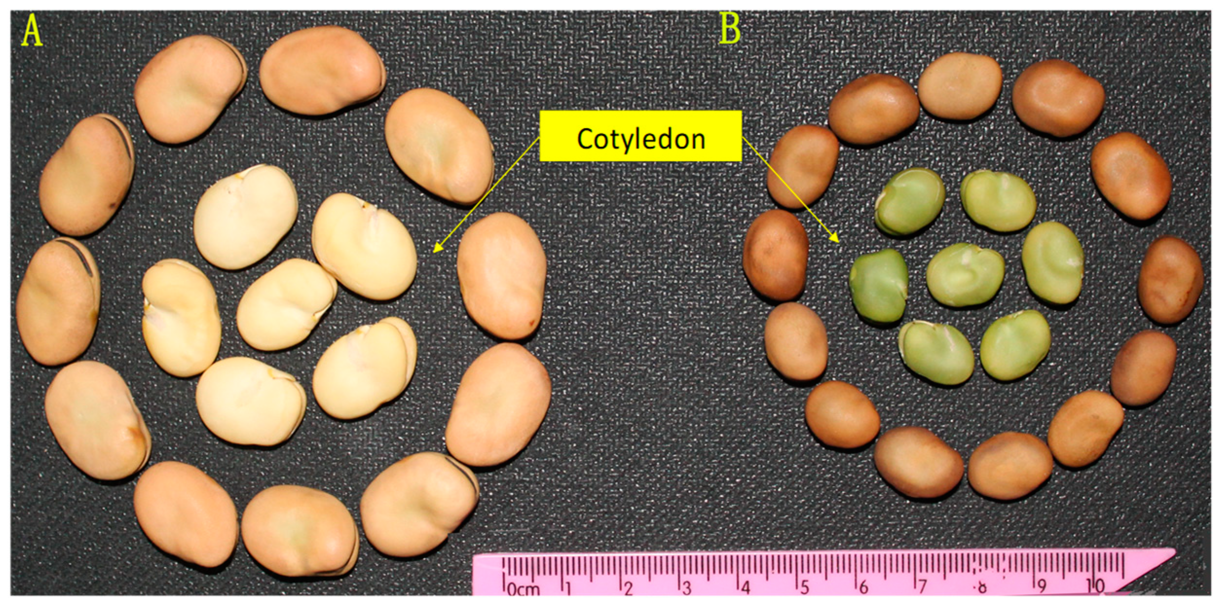 Agronomy 15 00193 g001