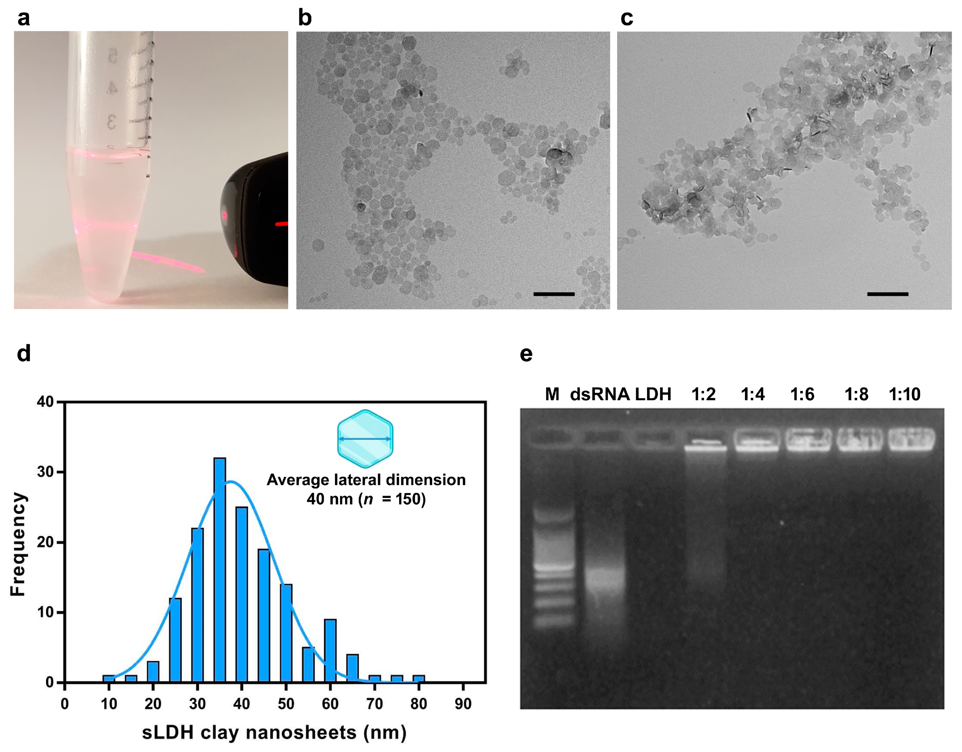 Agronomy 15 00194 g004