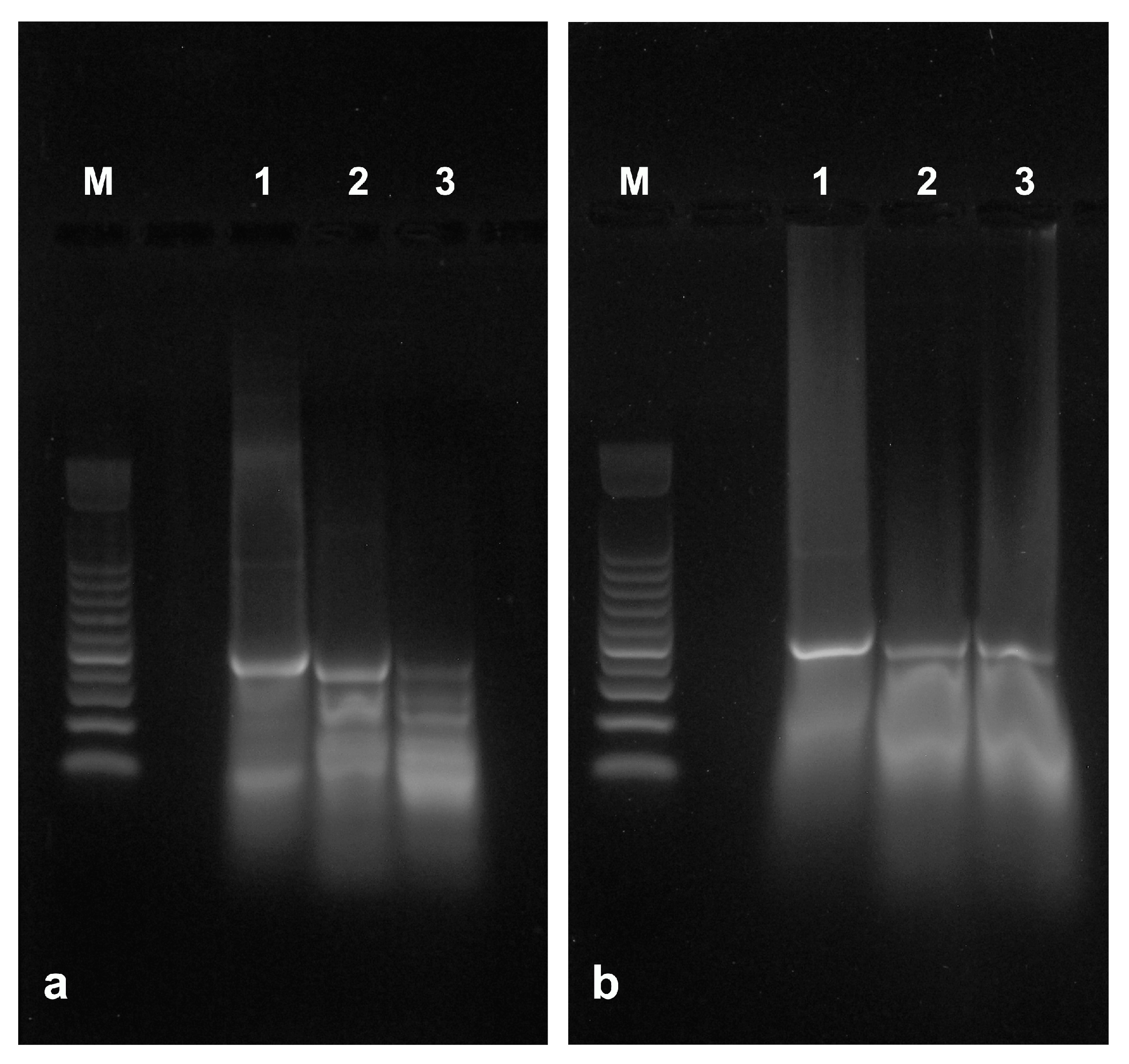 Agronomy 15 00194 g005