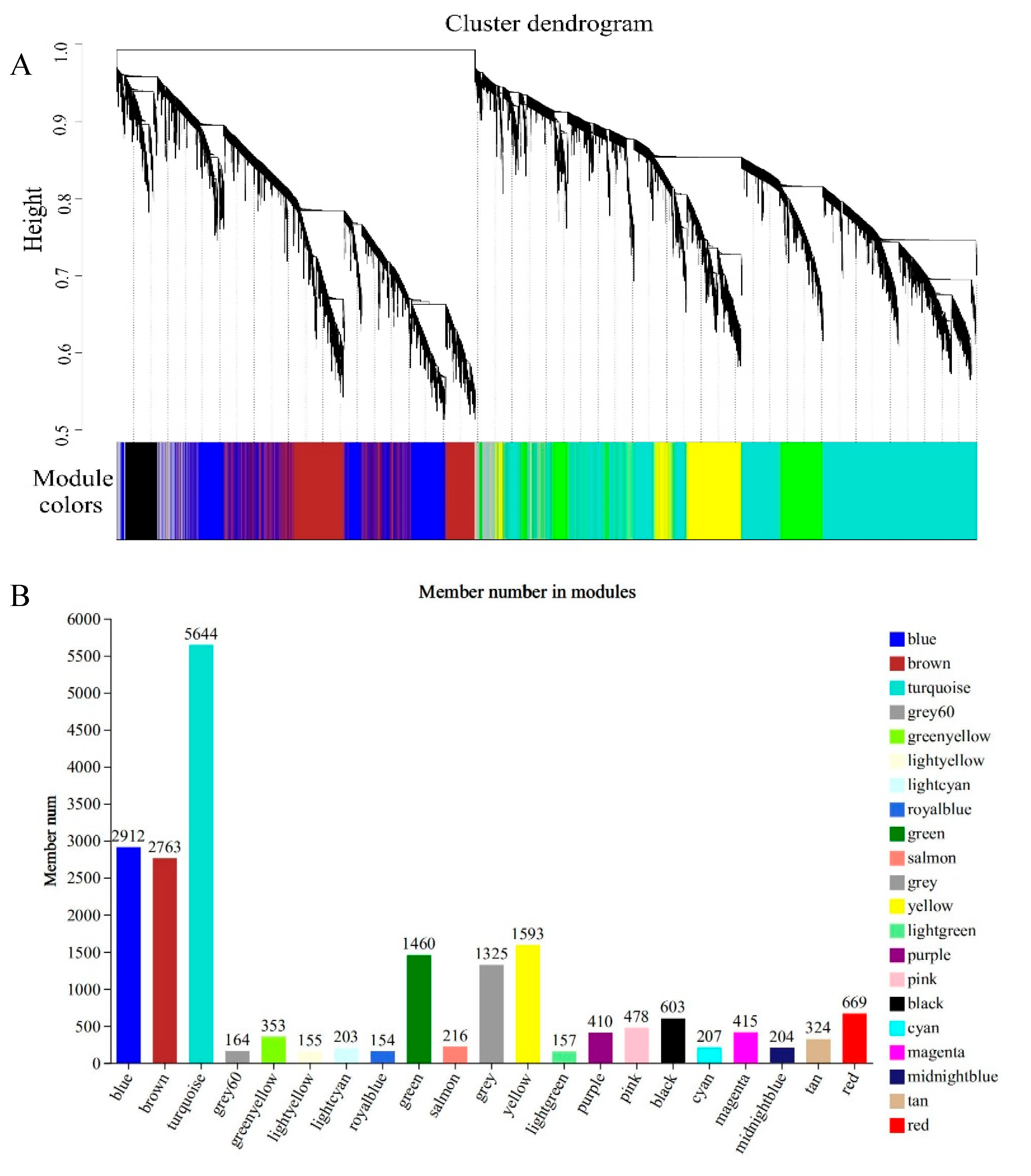 Agronomy 15 00196 g002