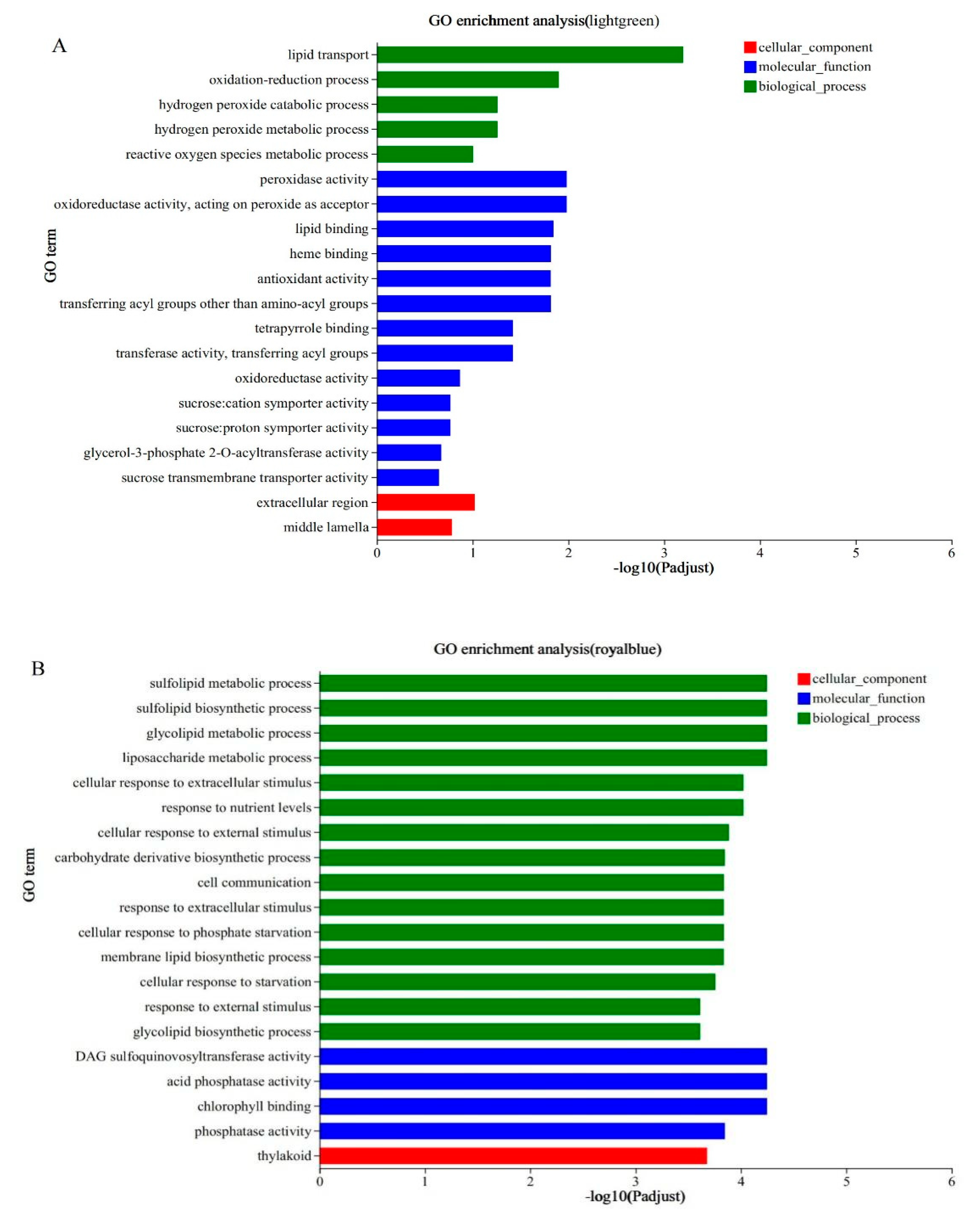 Agronomy 15 00196 g005