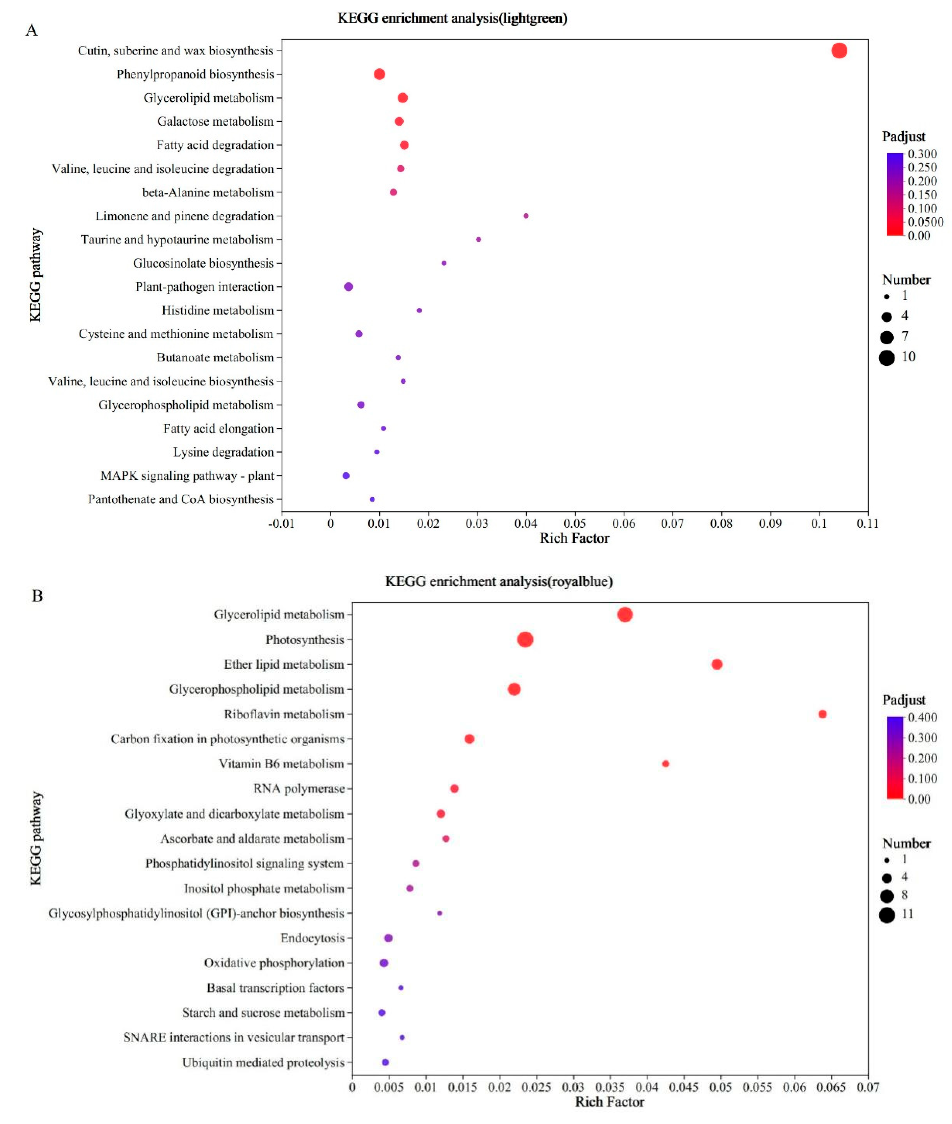 Agronomy 15 00196 g006