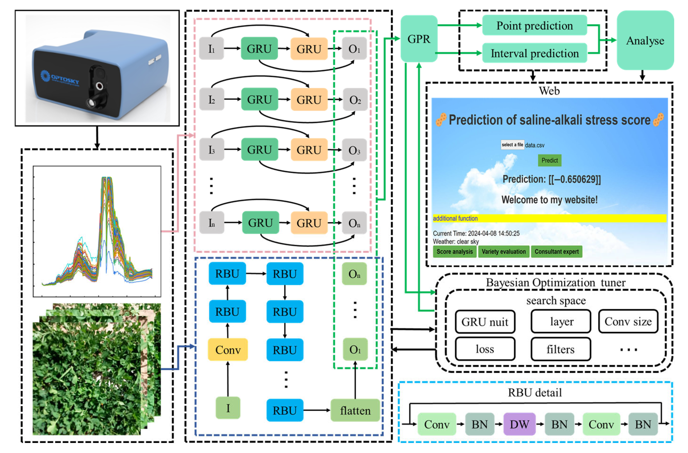 Agronomy 15 00197 g003