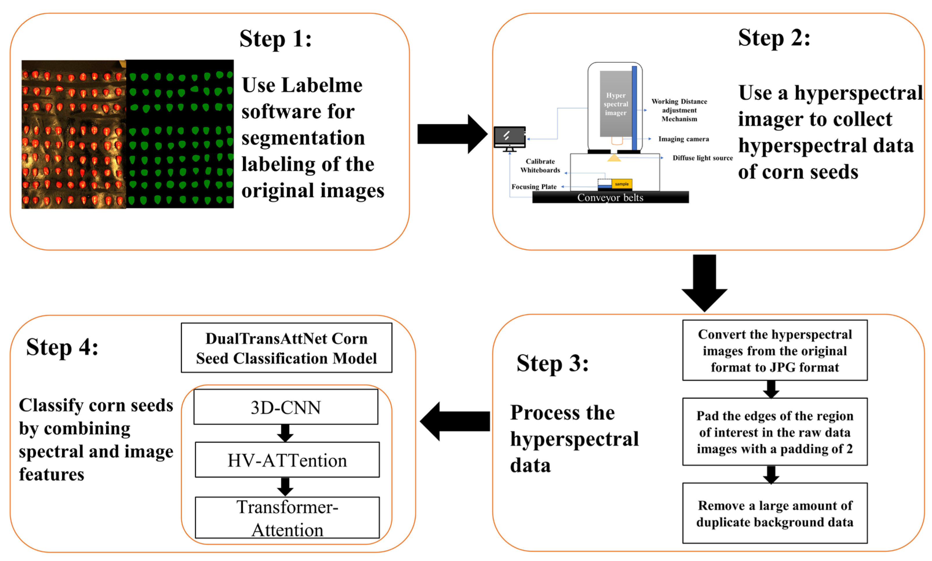 Agronomy 15 00200 g001