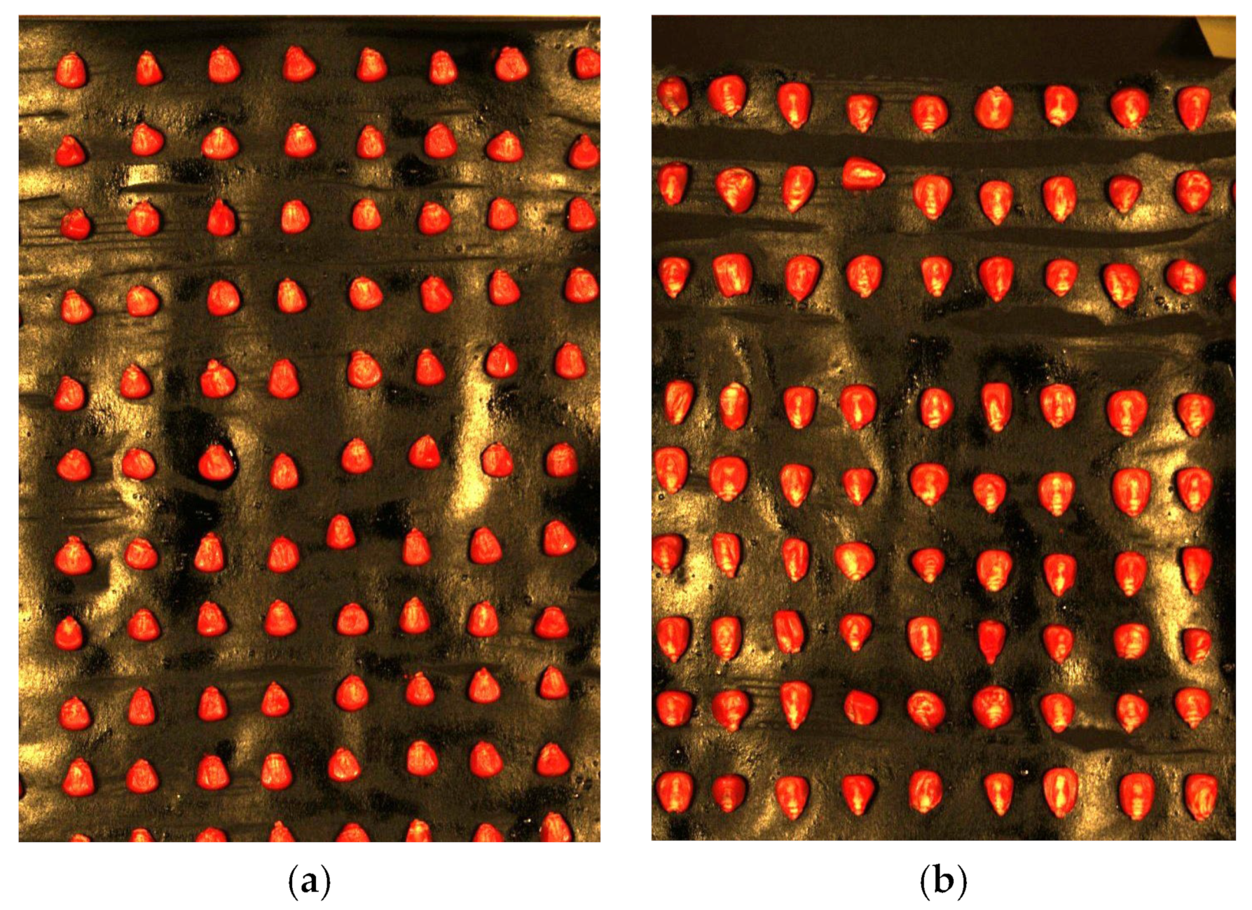 Agronomy 15 00200 g002