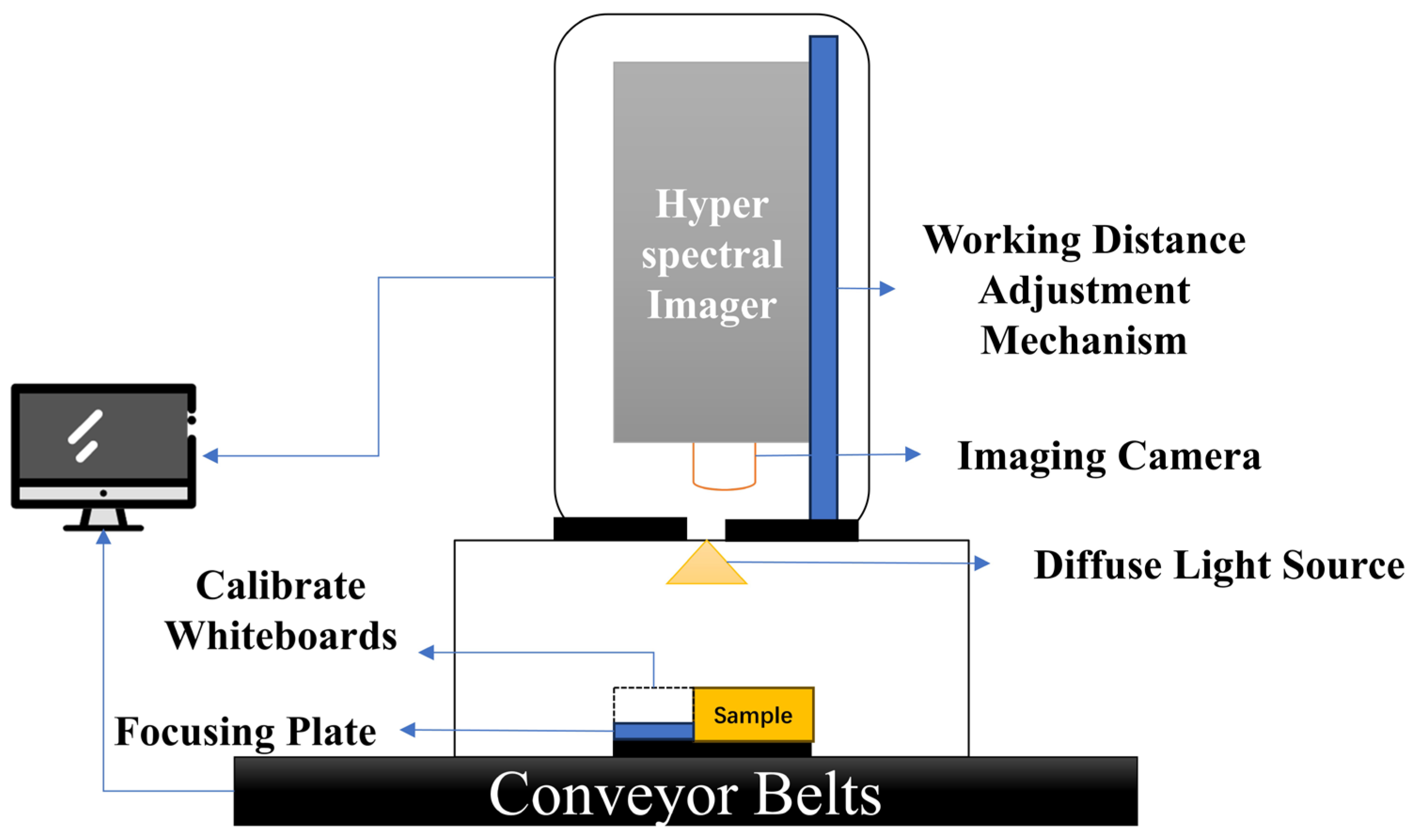 Agronomy 15 00200 g003