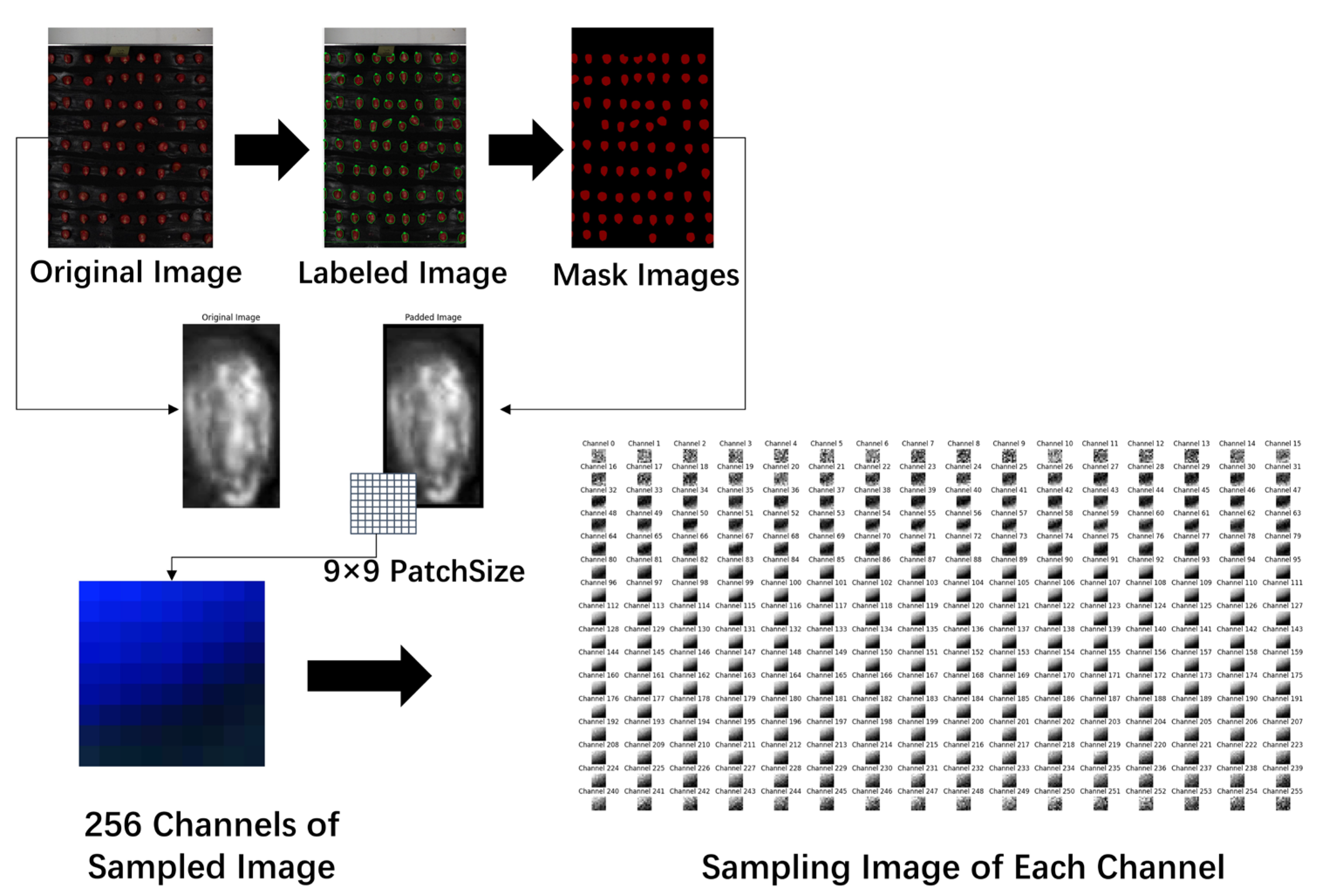 Agronomy 15 00200 g004
