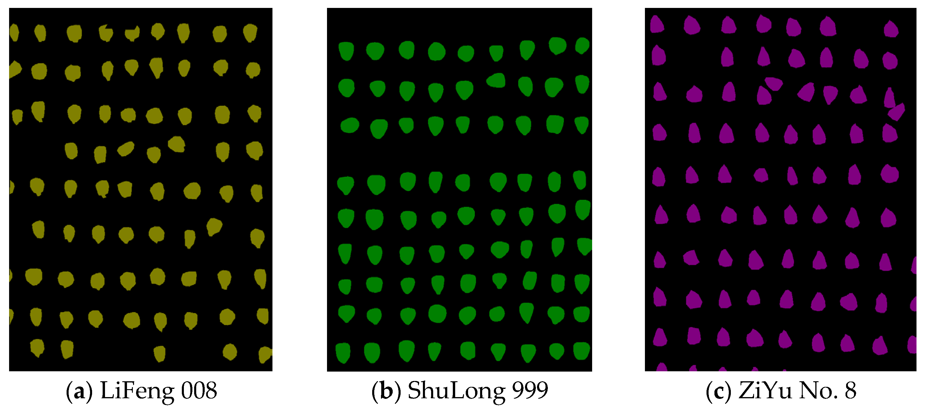 Agronomy 15 00200 g005