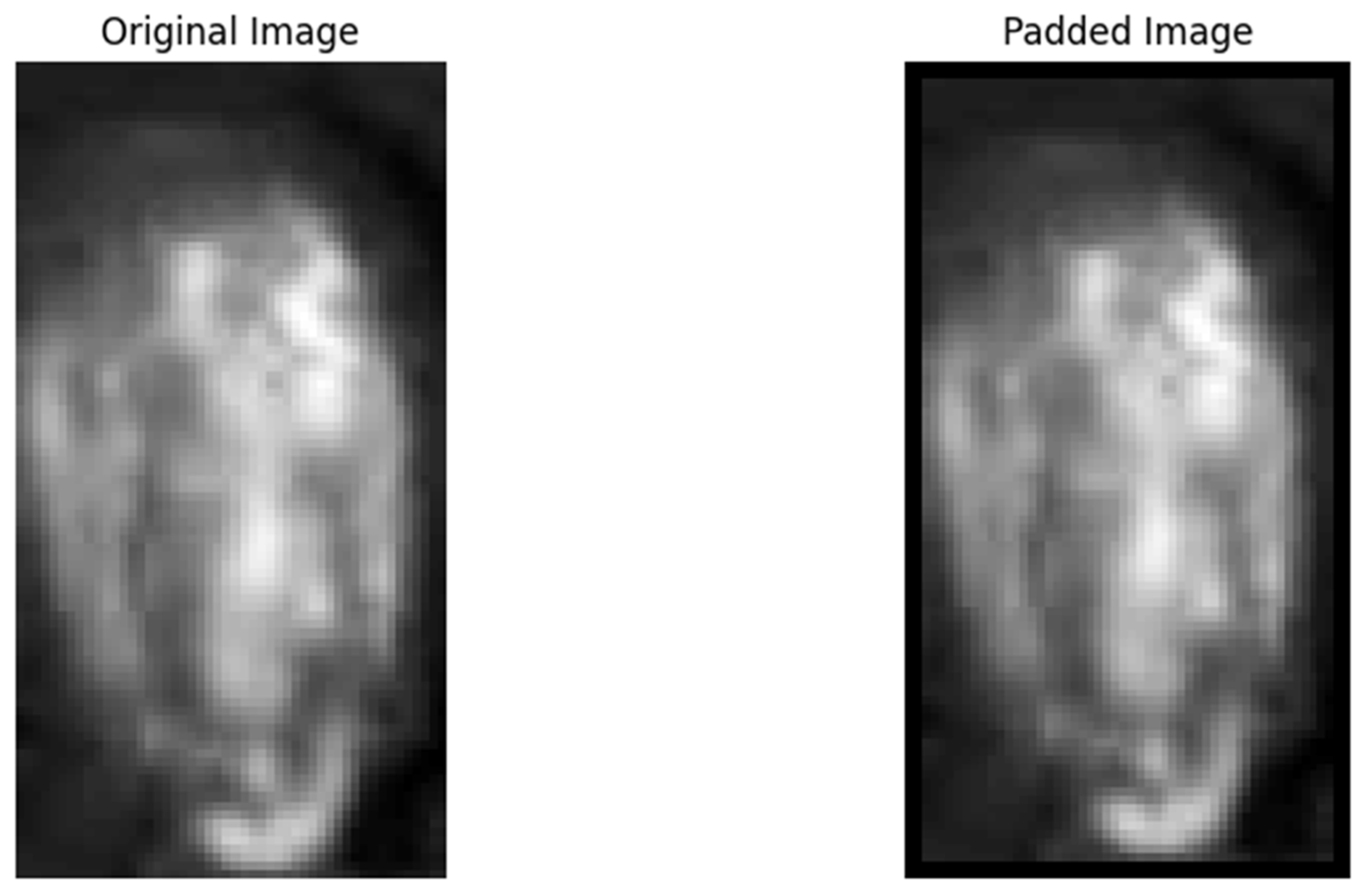 Agronomy 15 00200 g006