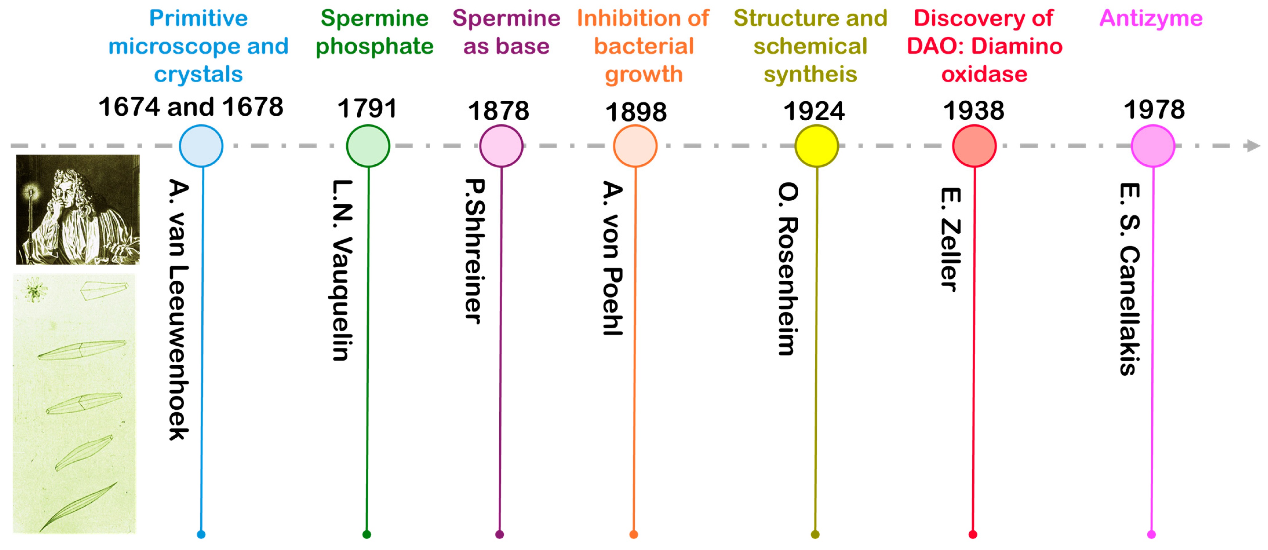 Agronomy 15 00201 g001