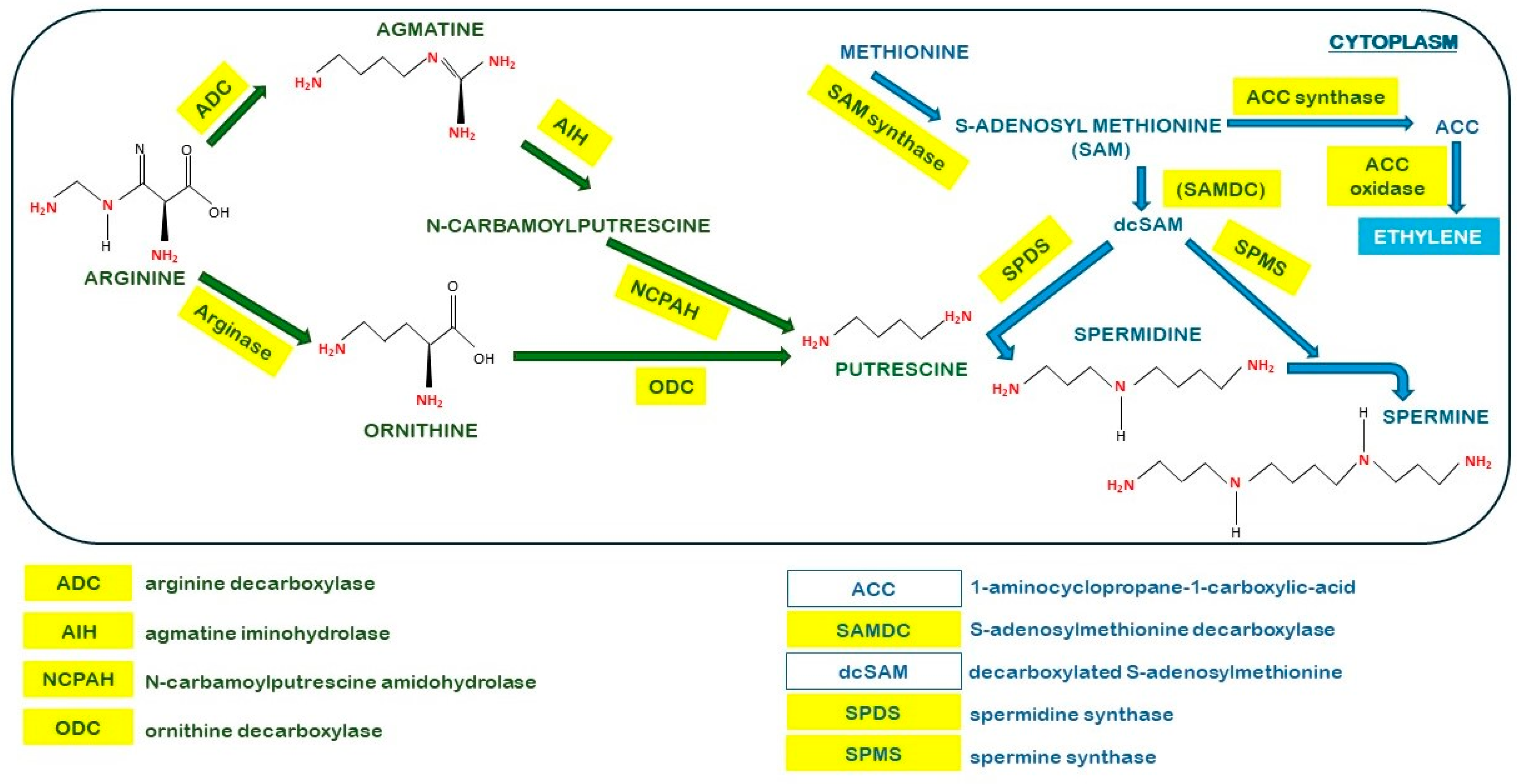 Agronomy 15 00201 g002