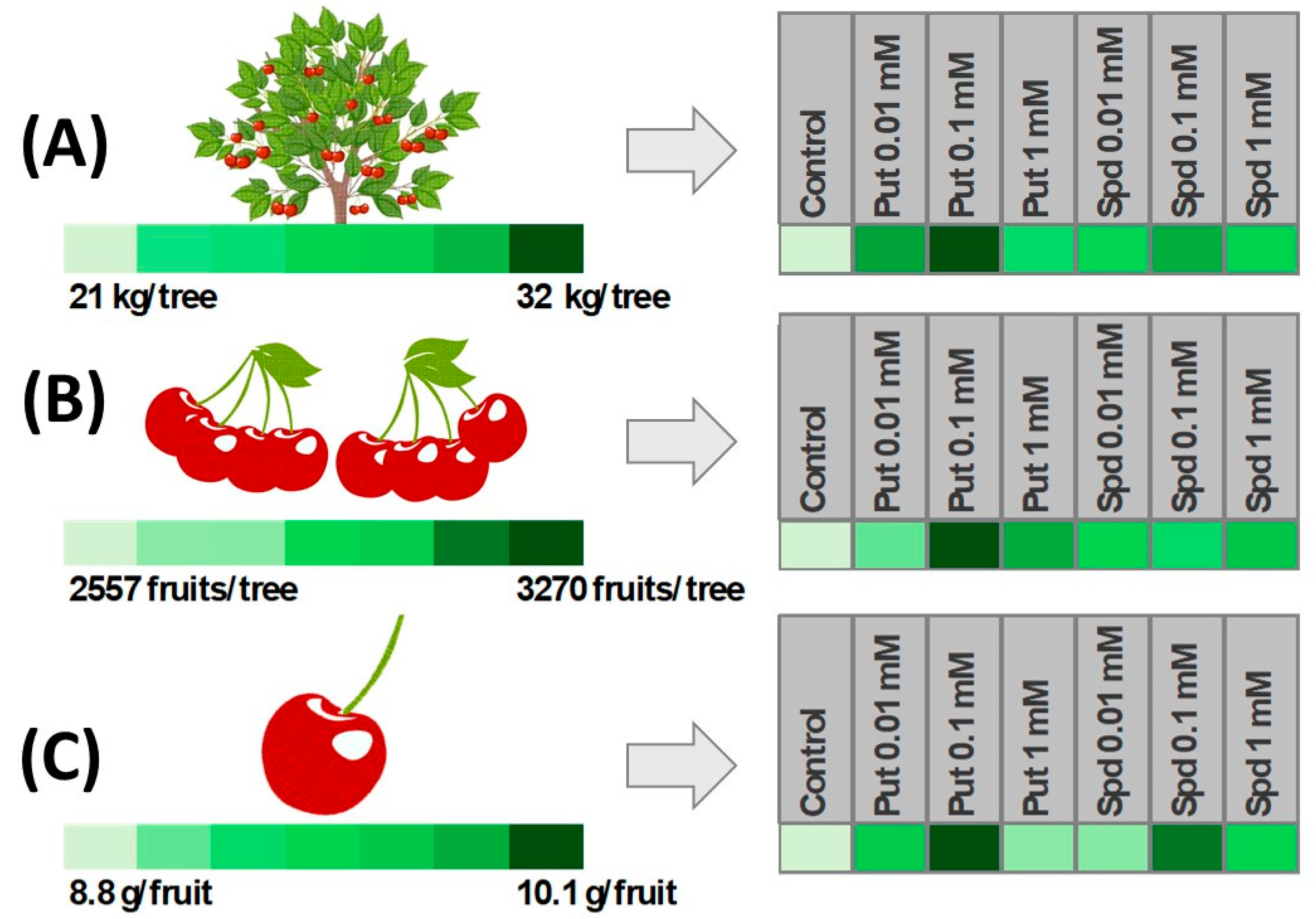 Agronomy 15 00201 g004