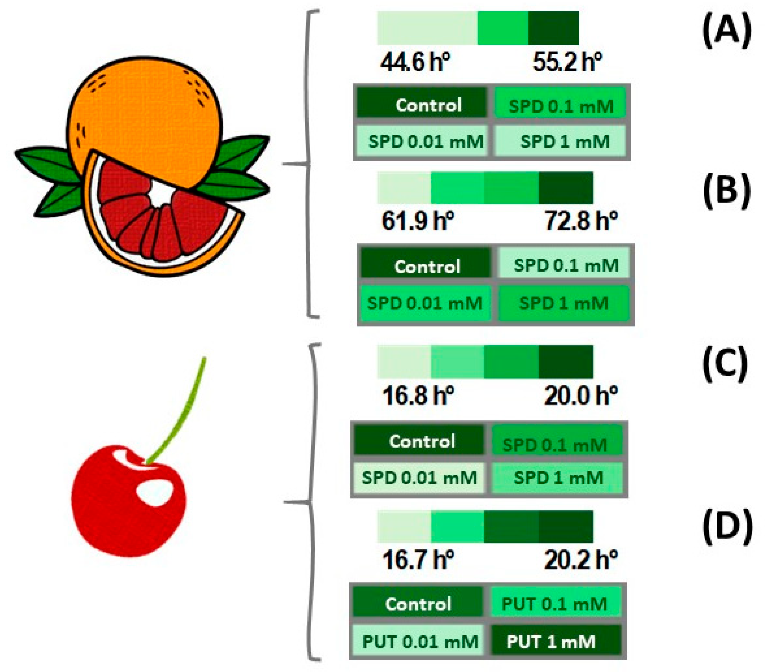 Agronomy 15 00201 g006