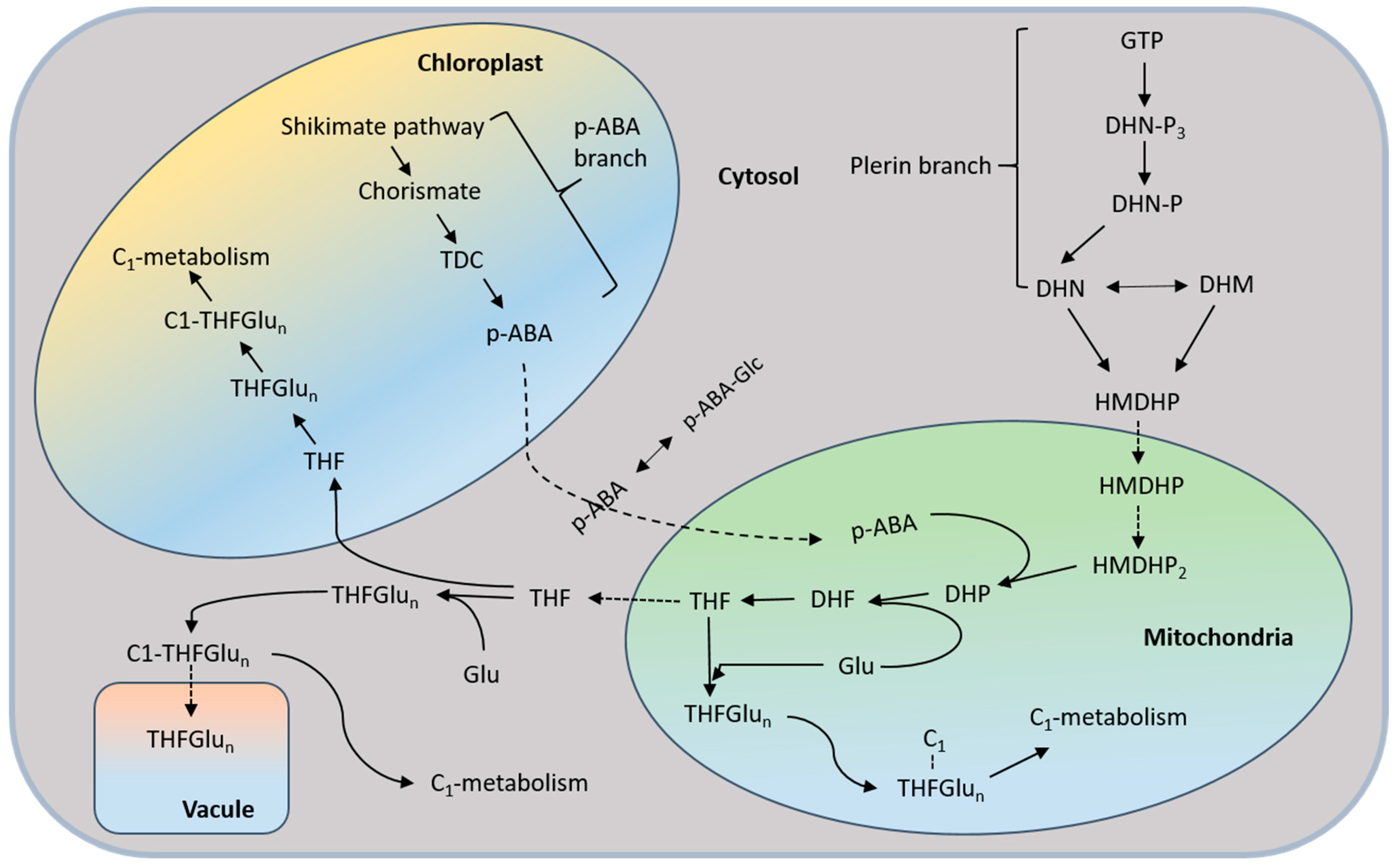 Agronomy 15 00202 g003