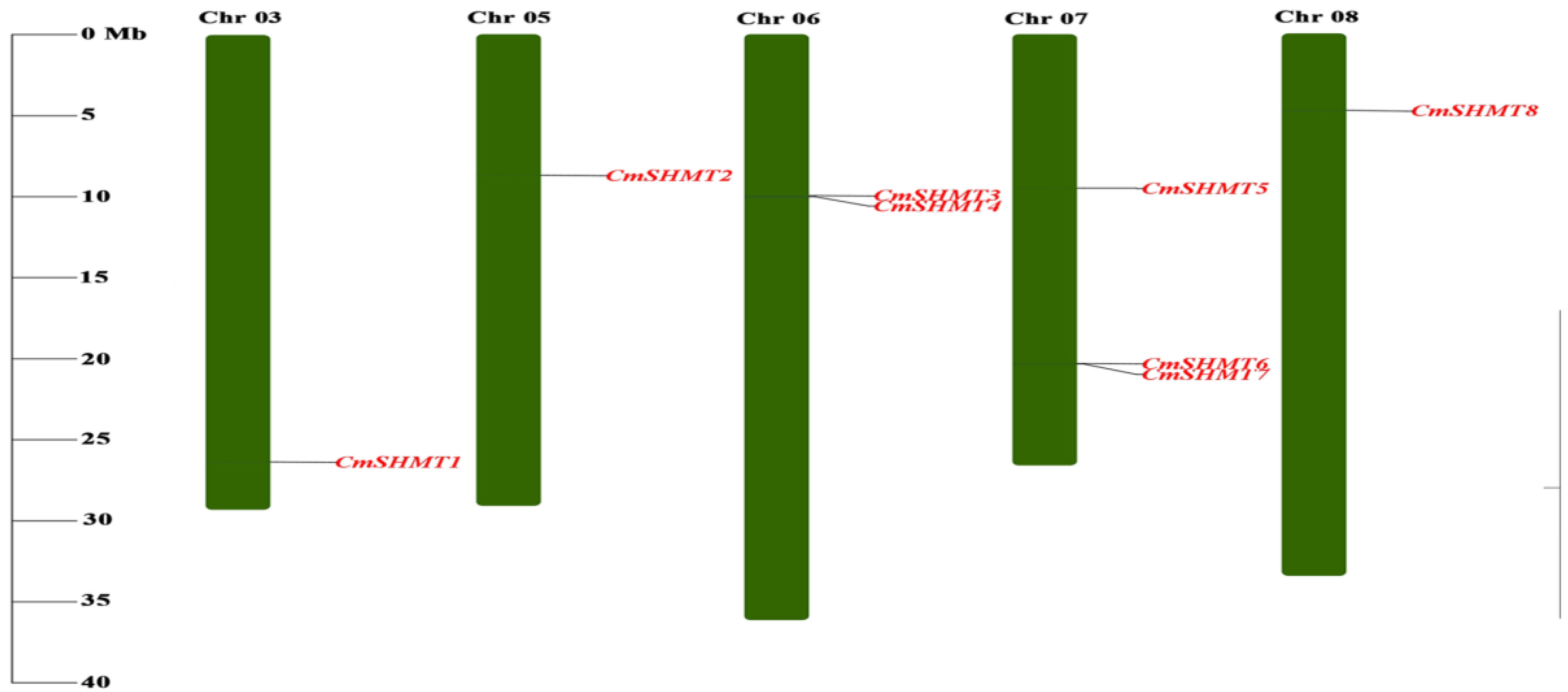 Agronomy 15 00203 g001