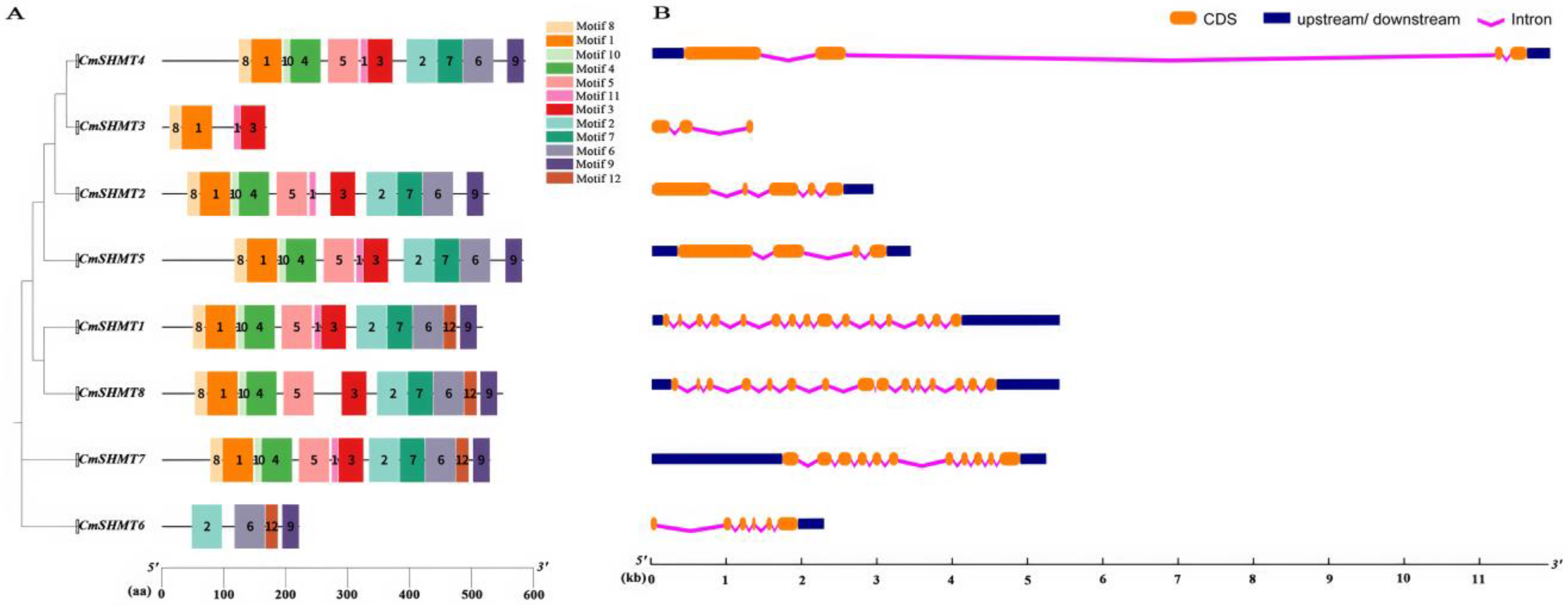 Agronomy 15 00203 g002