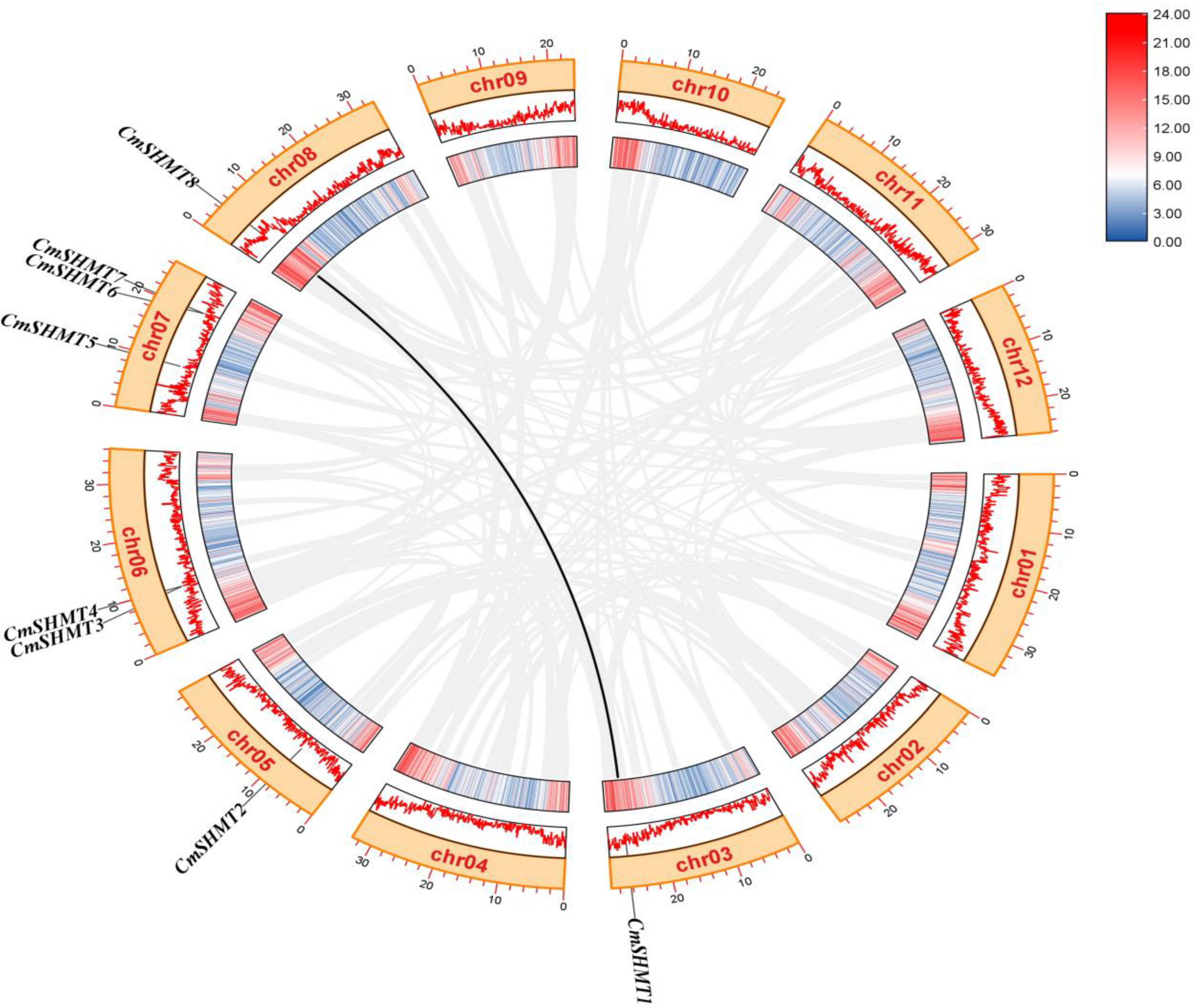 Agronomy 15 00203 g003