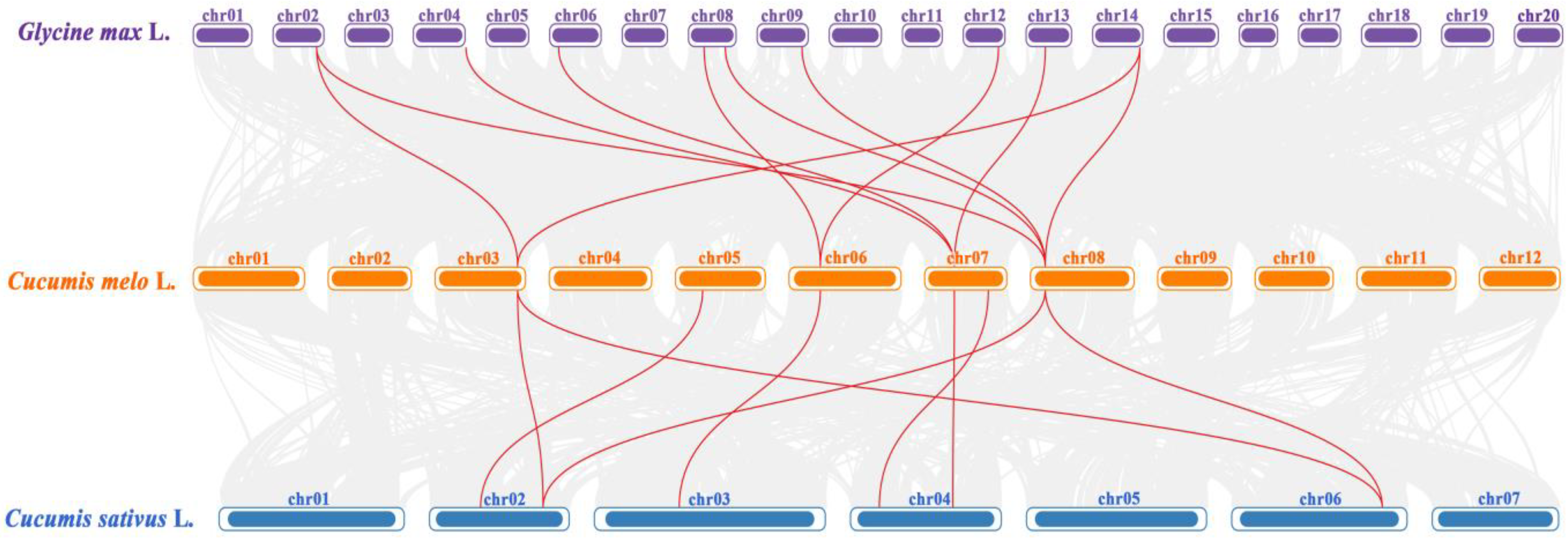 Agronomy 15 00203 g004