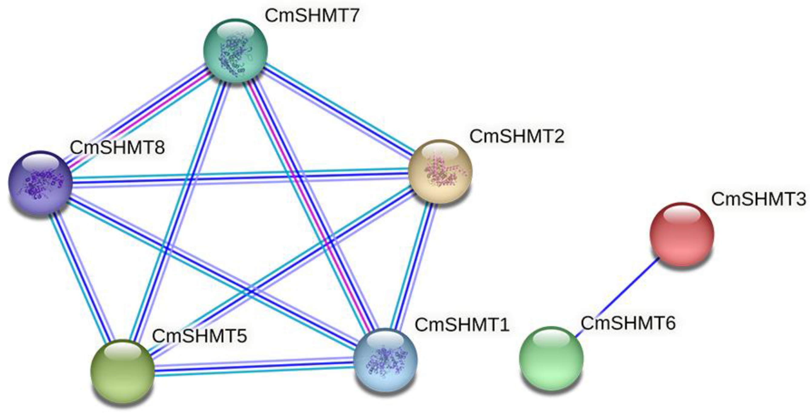 Agronomy 15 00203 g005
