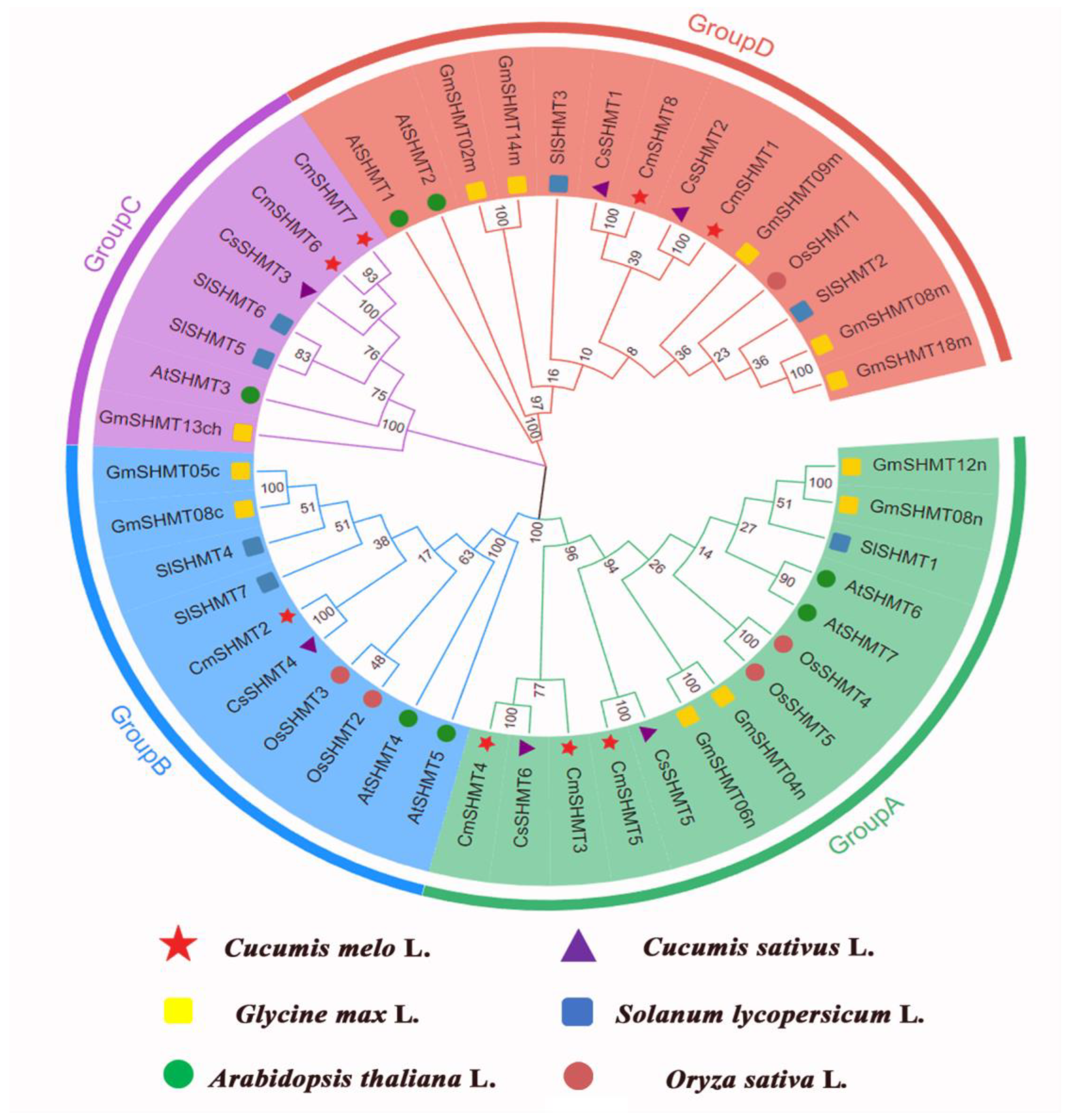 Agronomy 15 00203 g006