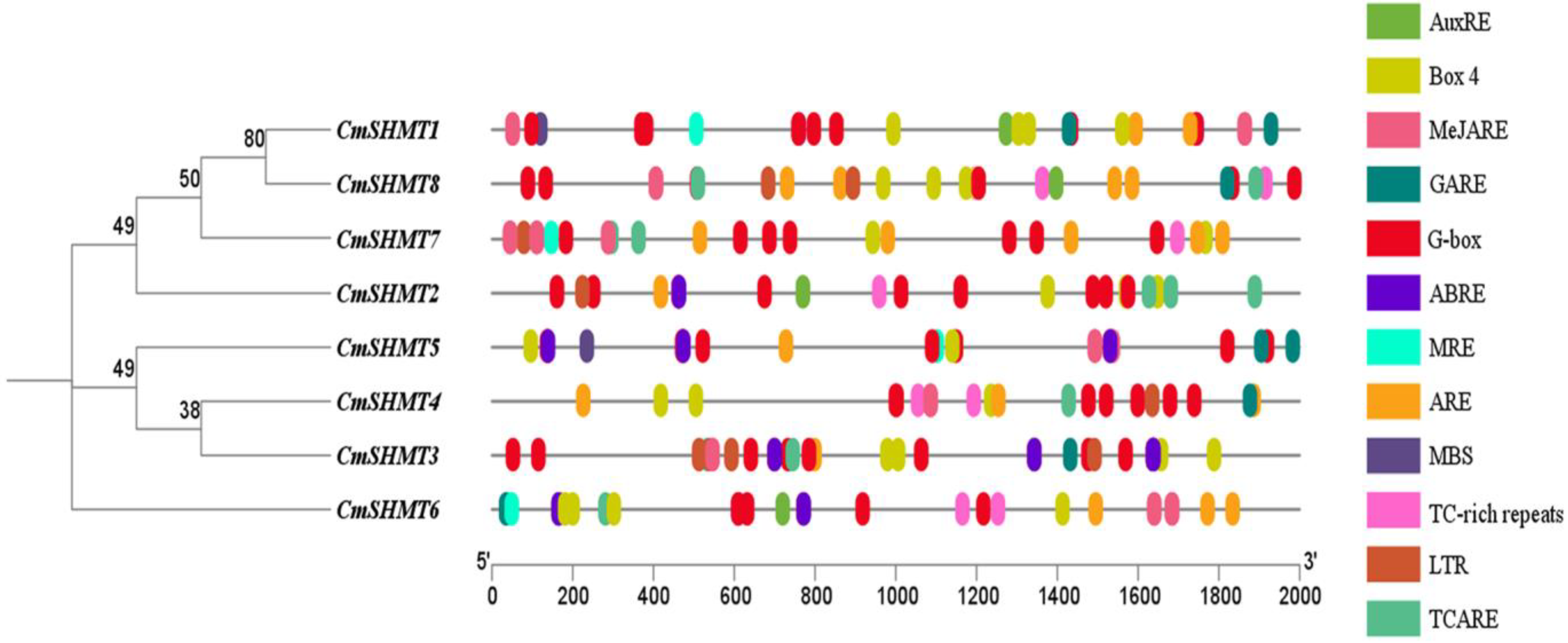 Agronomy 15 00203 g007