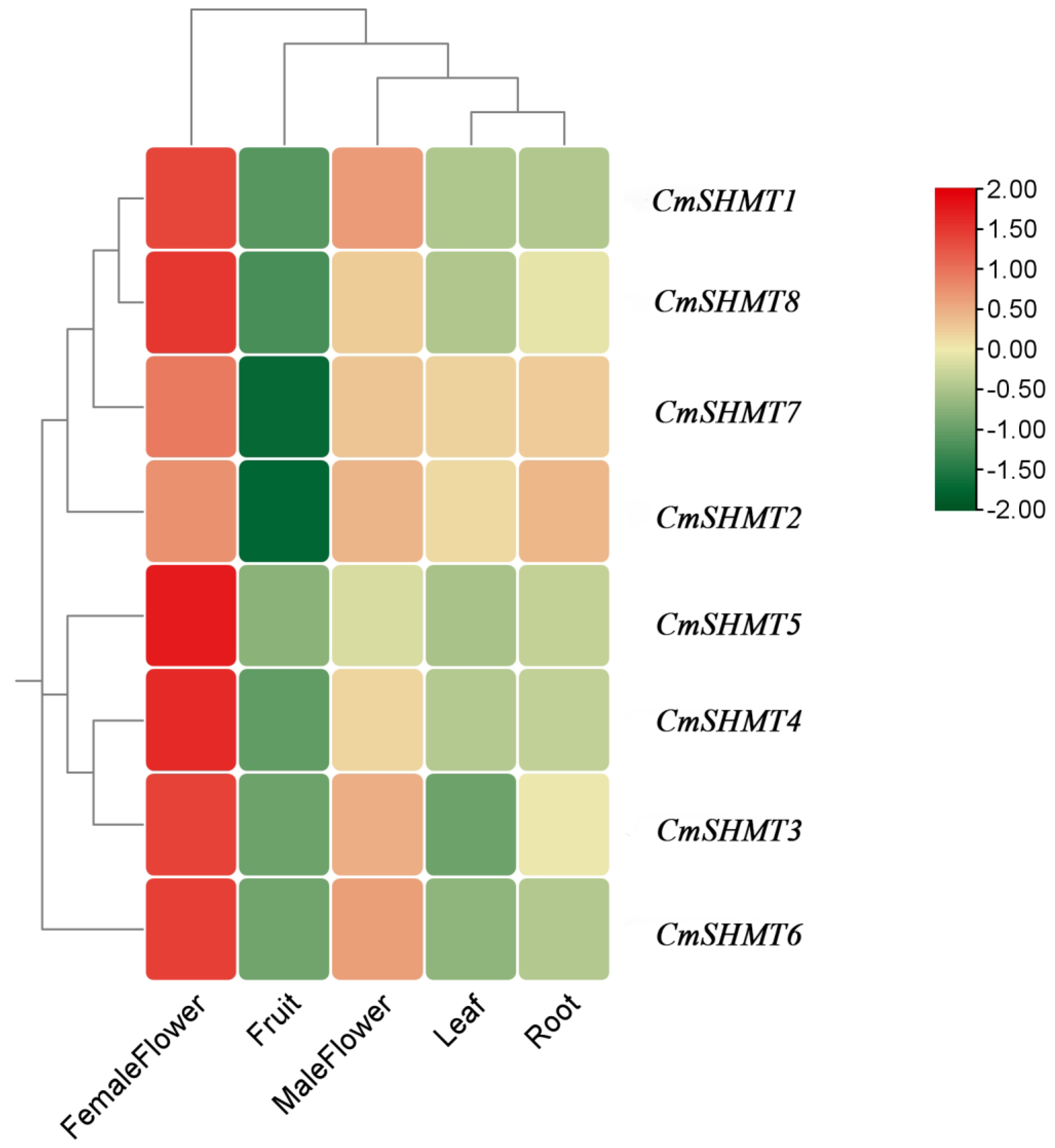 Agronomy 15 00203 g008