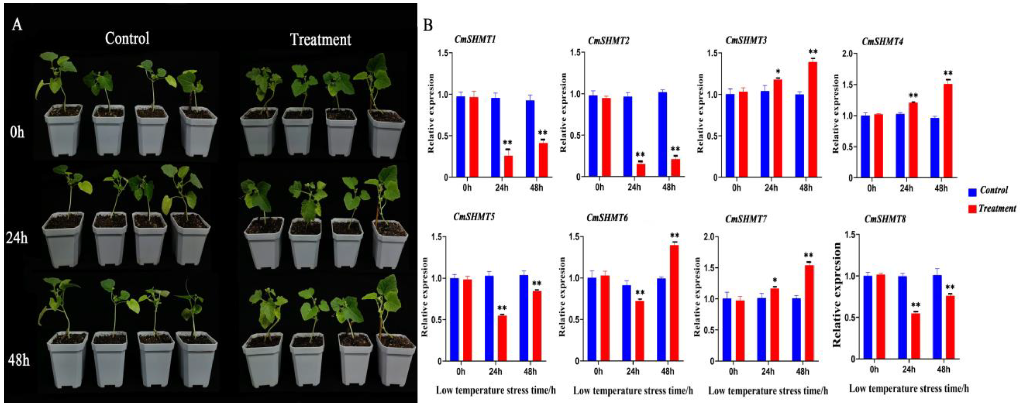 Agronomy 15 00203 g009