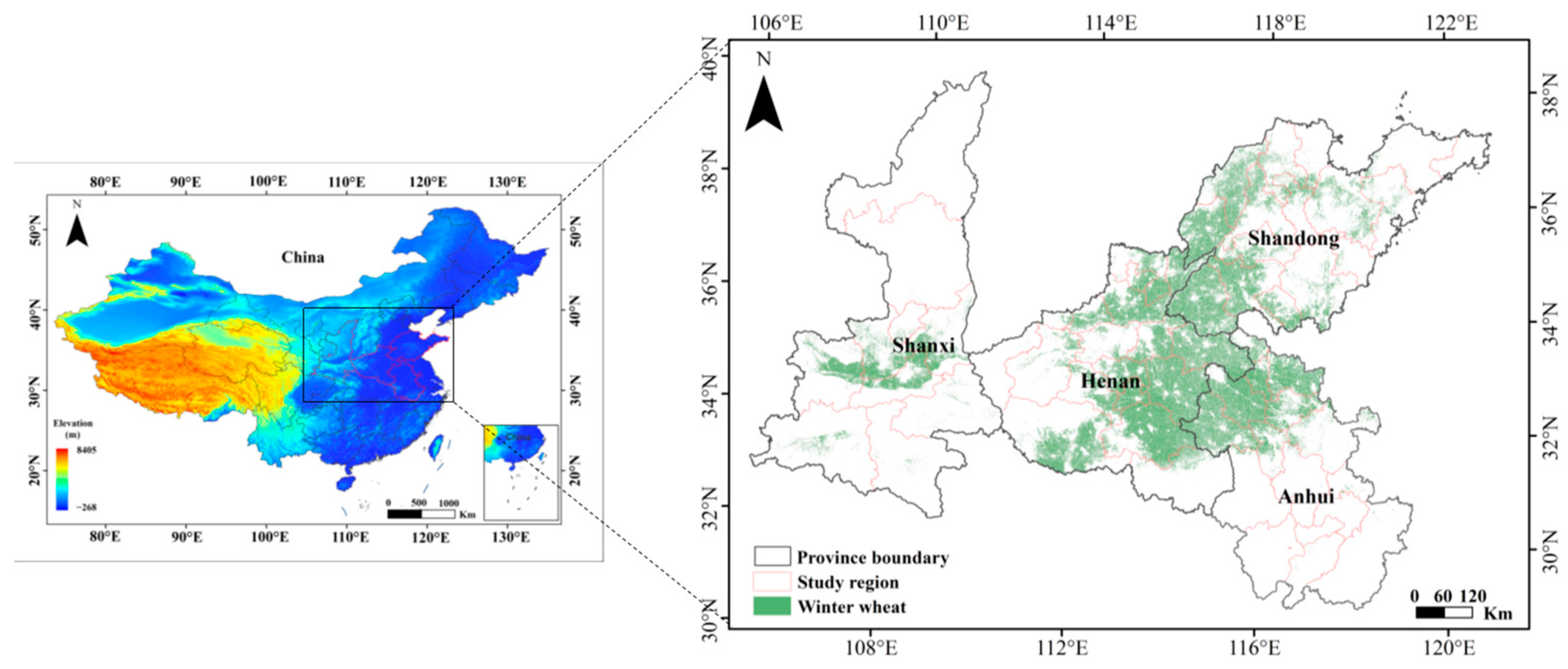 Agronomy 15 00205 g001
