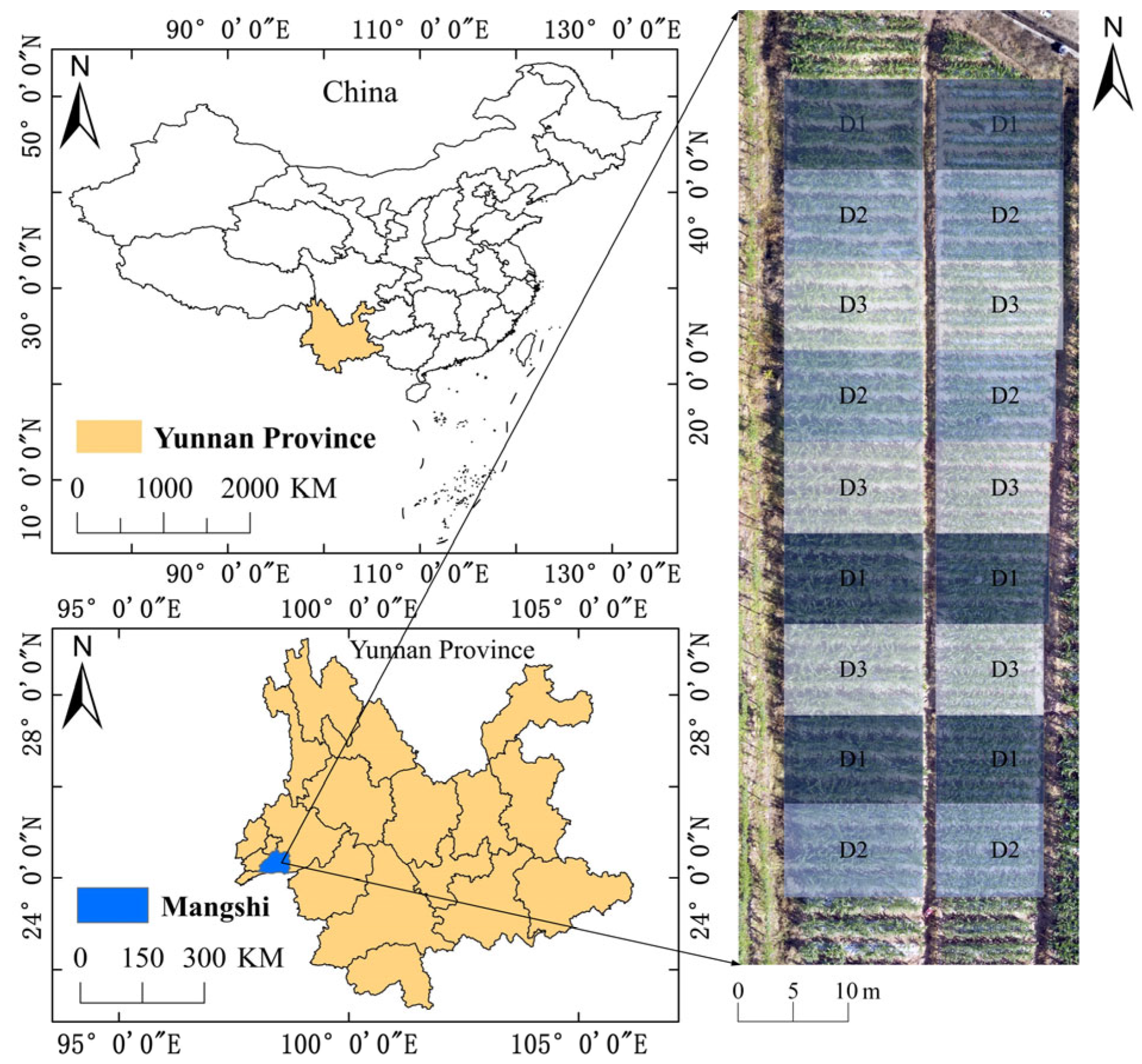 Agronomy 15 00212 g001