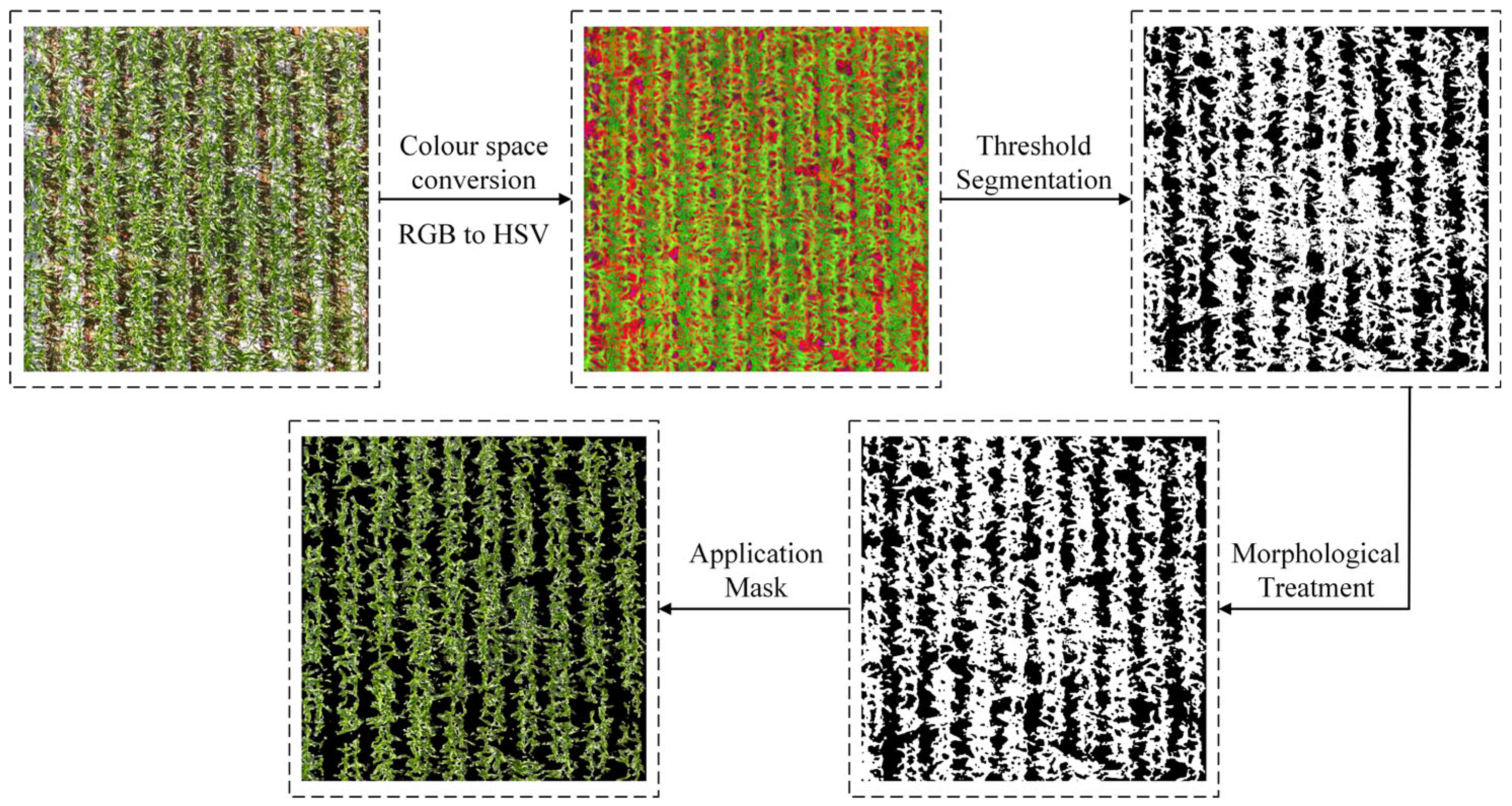 Agronomy 15 00212 g003