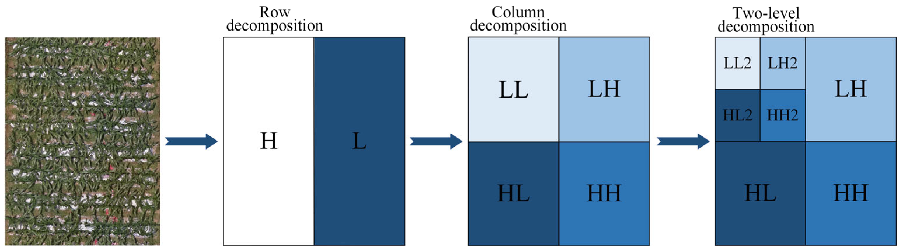 Agronomy 15 00212 g004