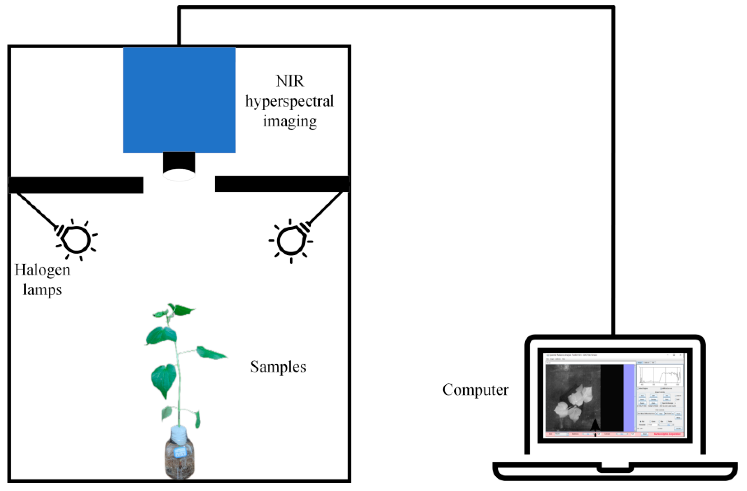 Agronomy 15 00213 g002