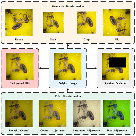 Smart Agricultural Pest Detection Using I-YOLOv10-SC: An