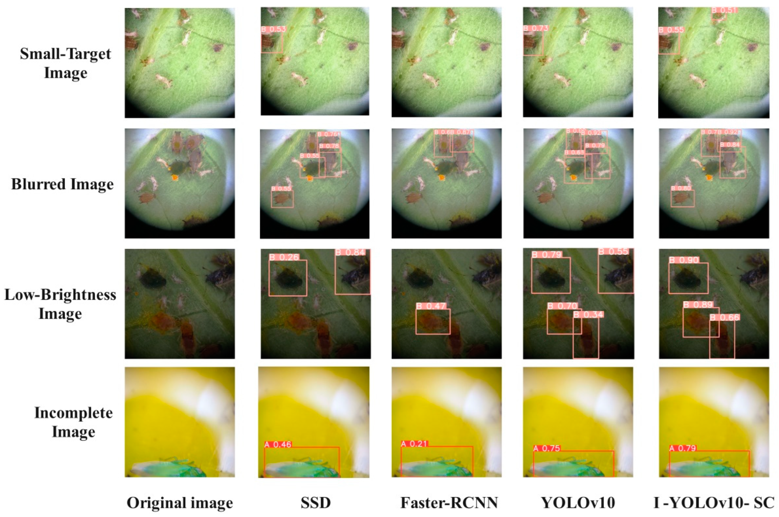 Agronomy 15 00221 g009