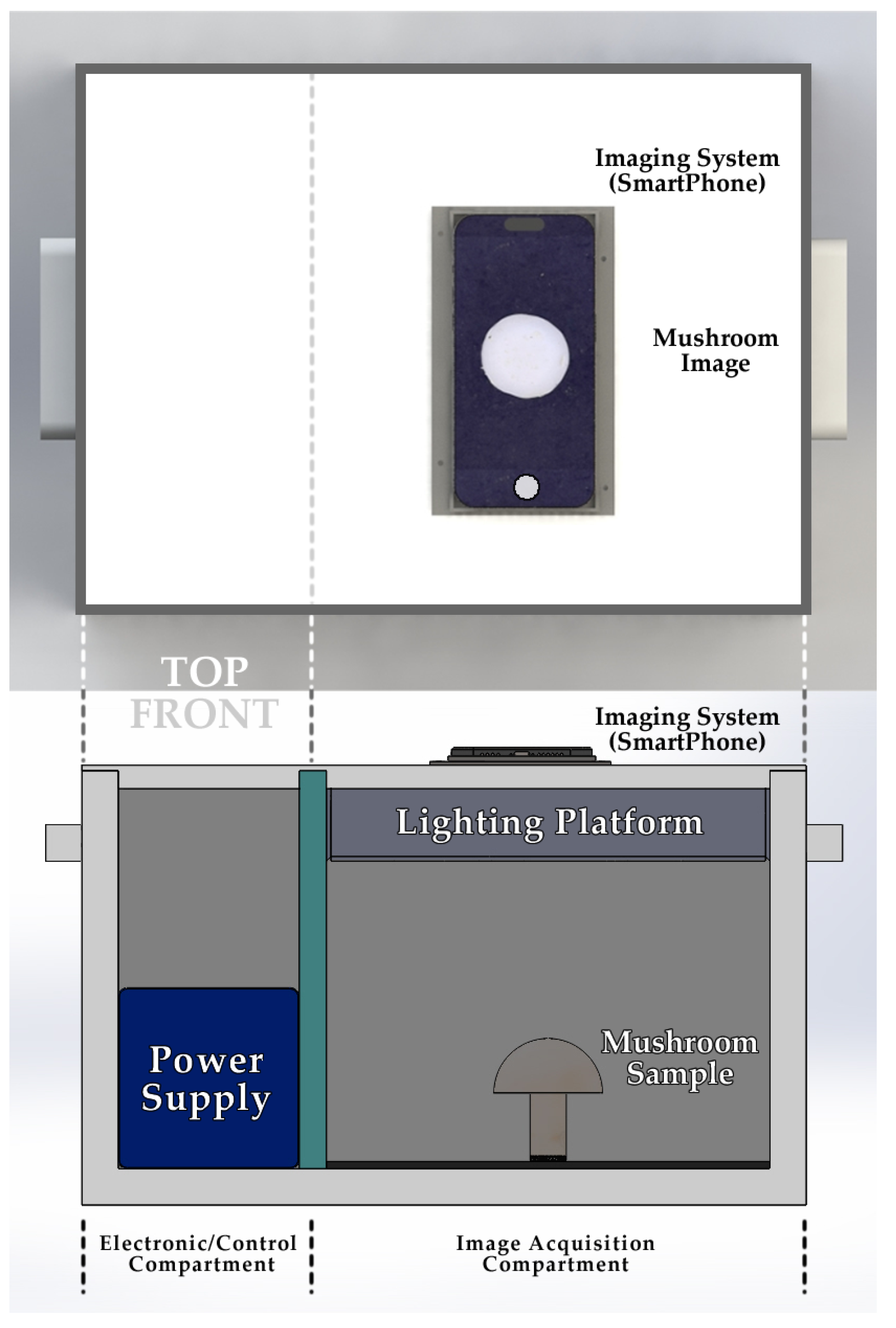 Agronomy 15 00226 g002 Agronomy 15 00226 g002
