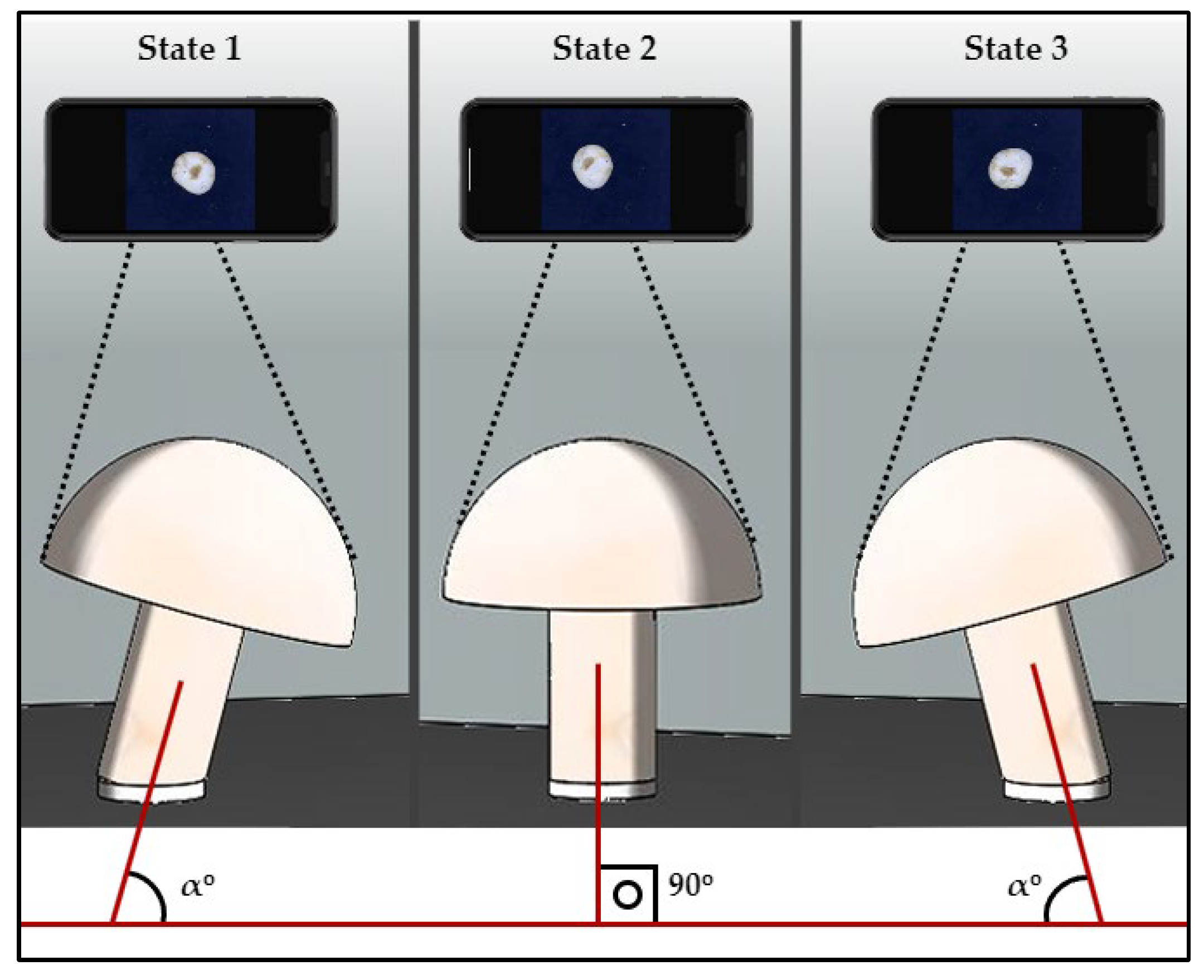 Agronomy 15 00226 g005 Agronomy 15 00226 g005