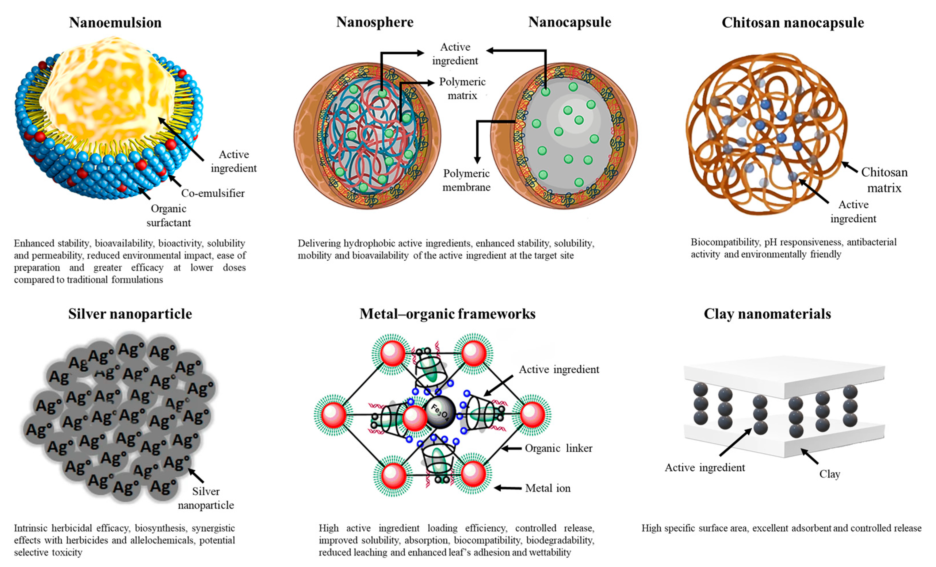 Agronomy 15 00228 g003