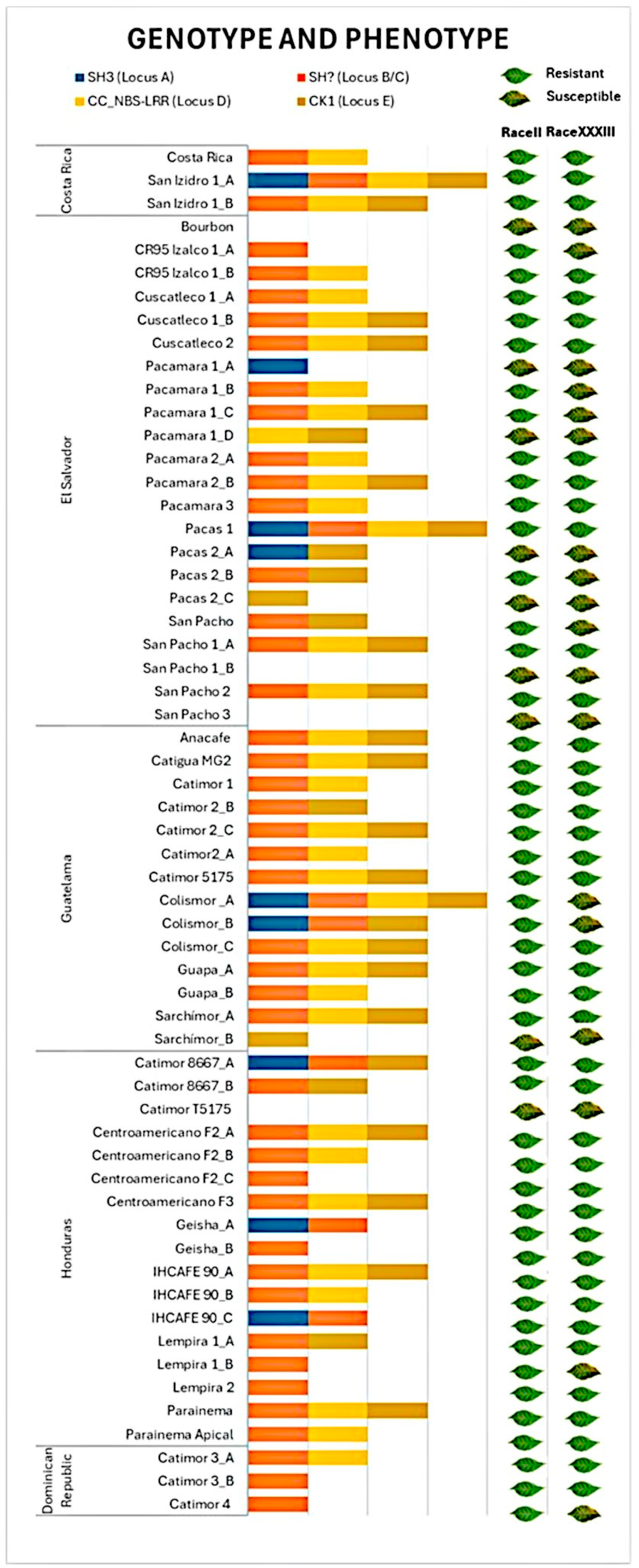 Agronomy 15 00230 g005