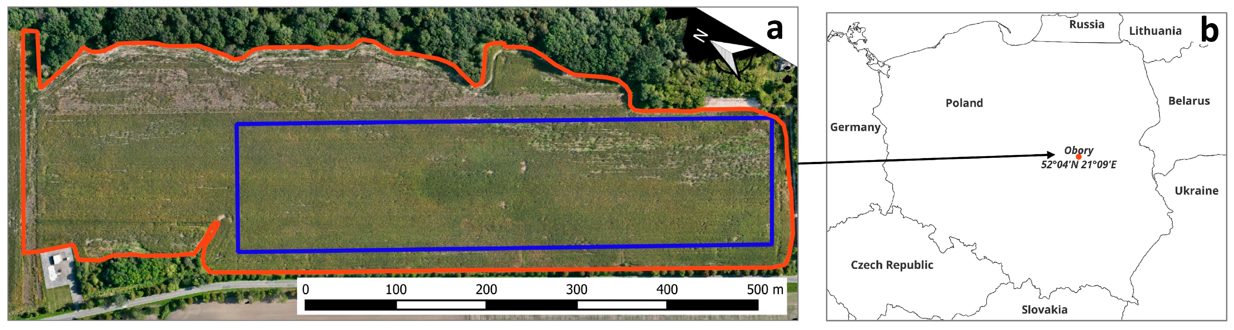 Agronomy 15 00238 g001