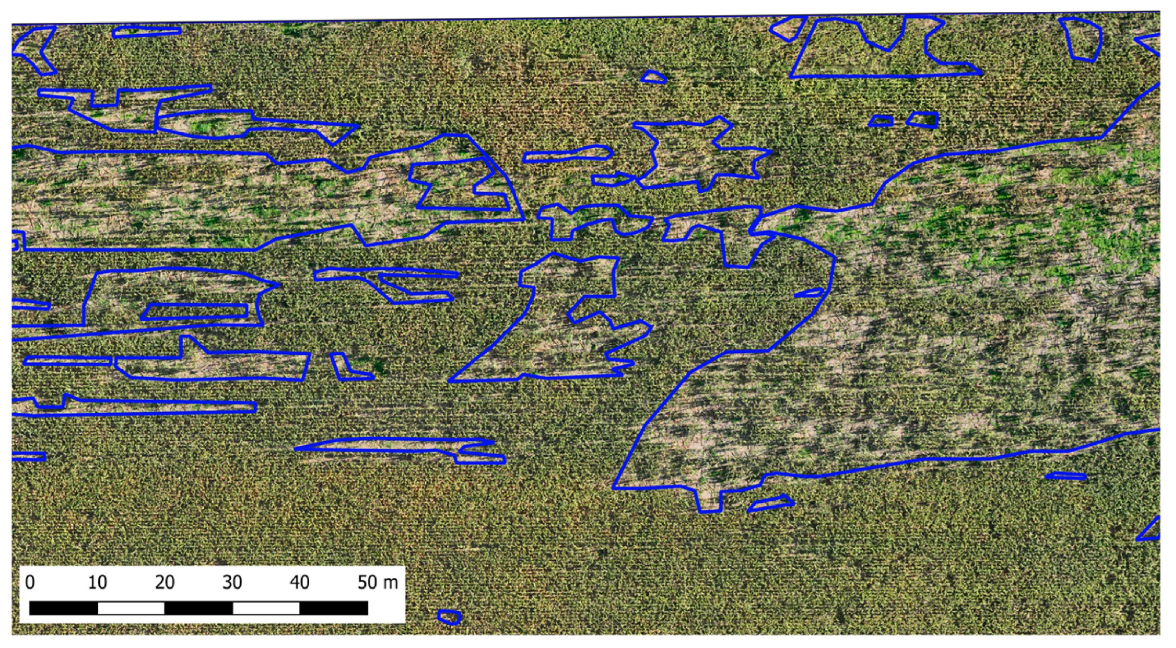 Agronomy 15 00238 g005