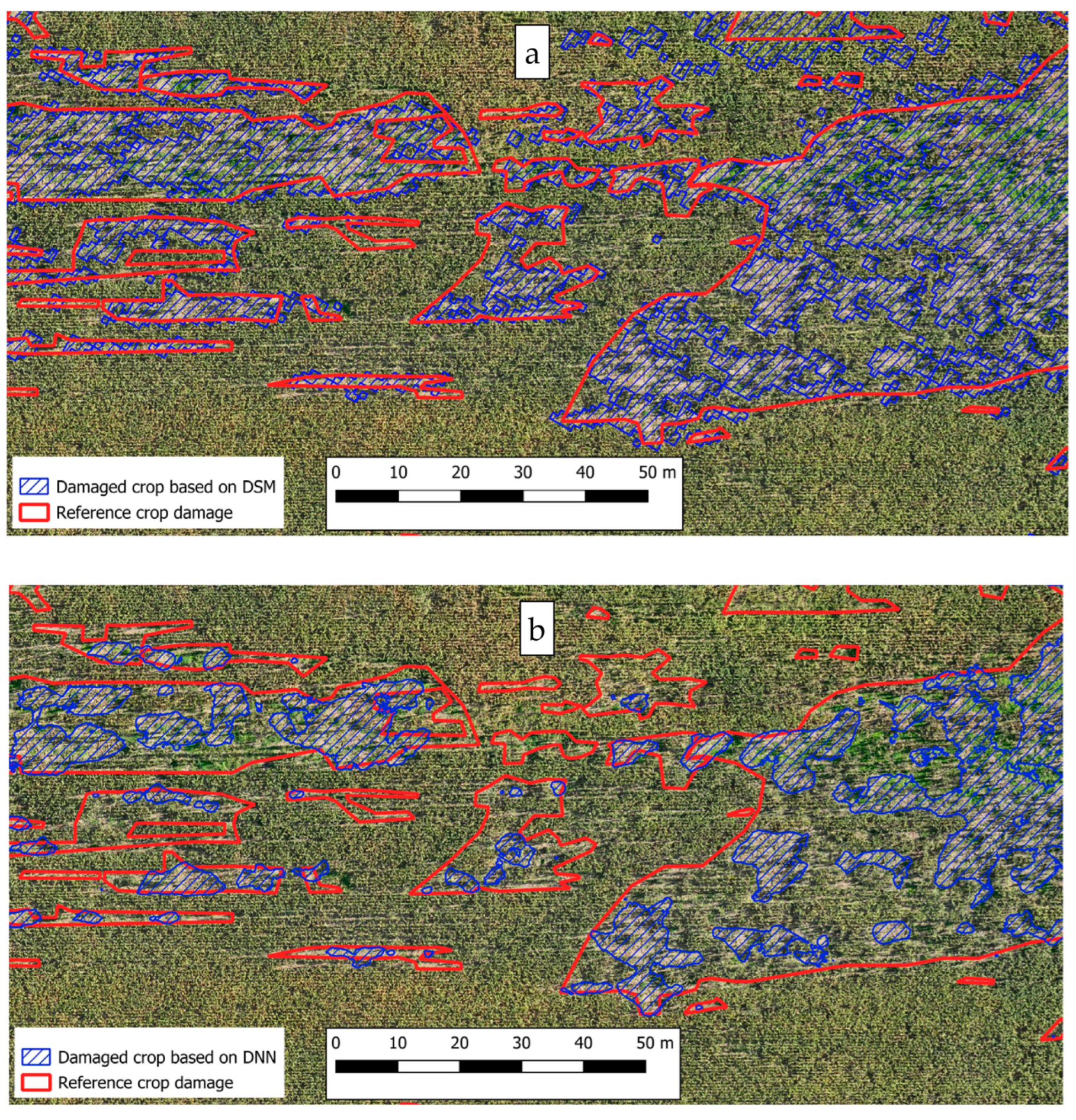 Agronomy 15 00238 g006