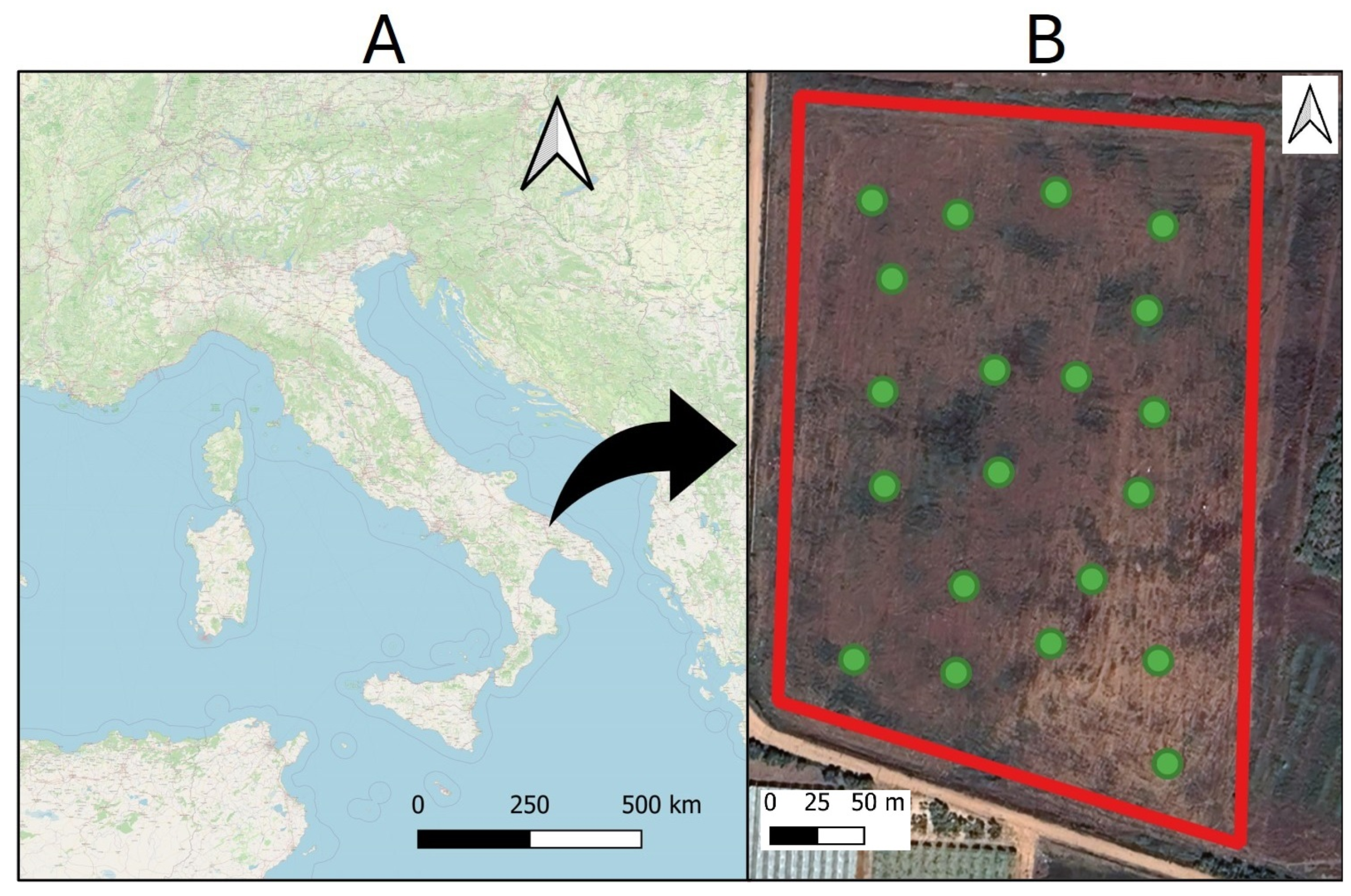 Agronomy 15 00241 g001