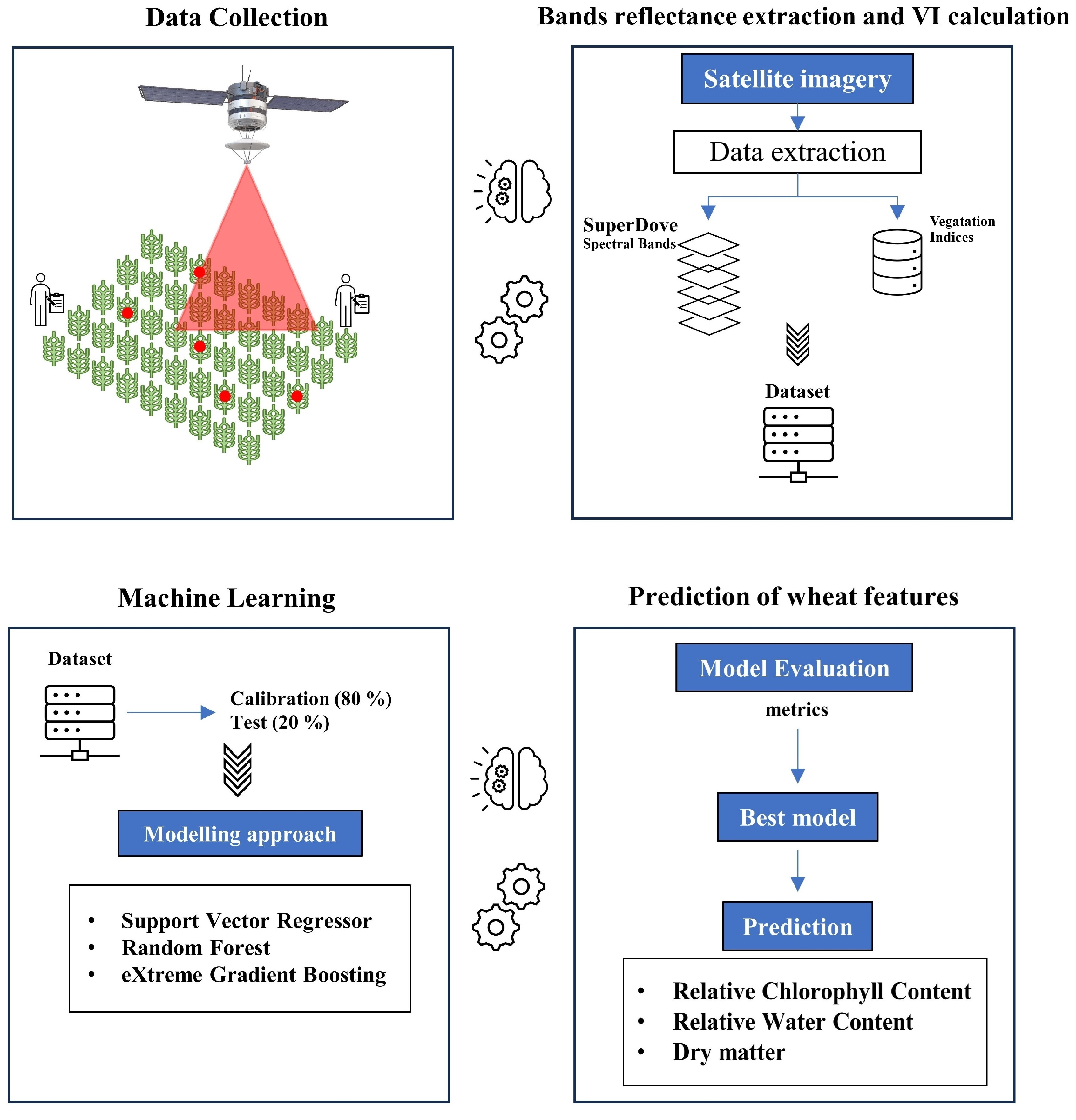Agronomy 15 00241 g003